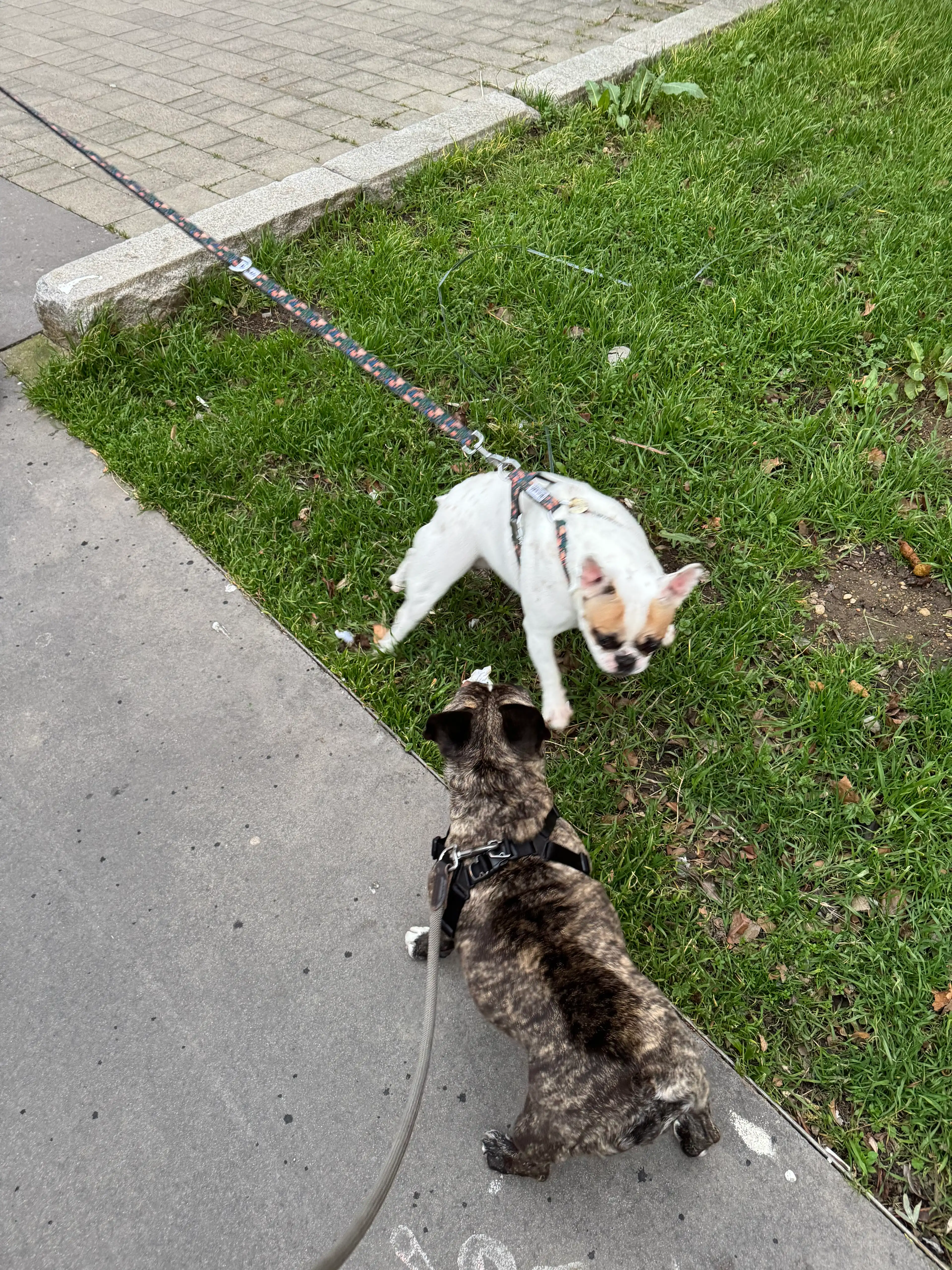 image-18
