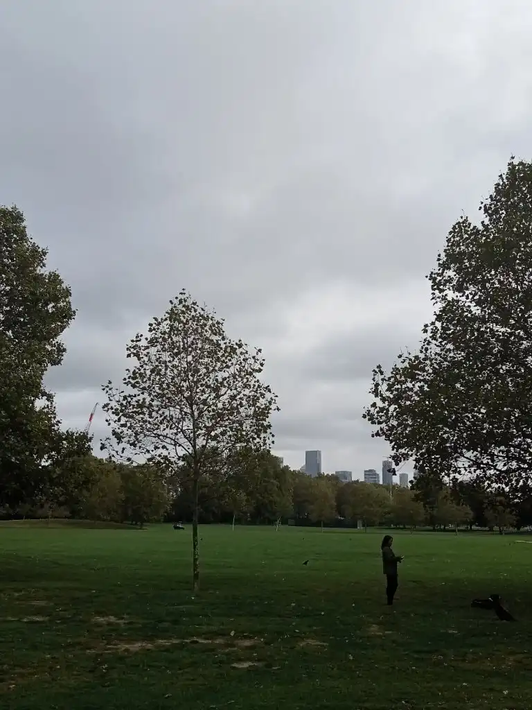 image-16