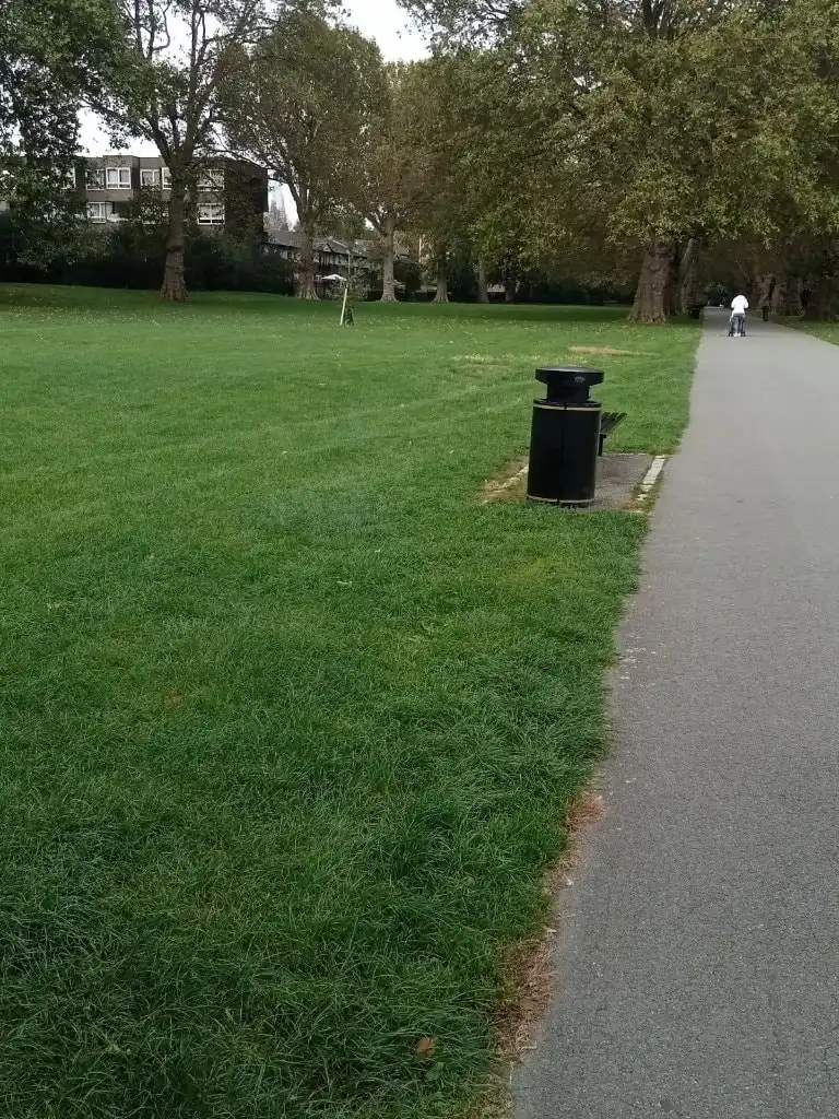 image-15