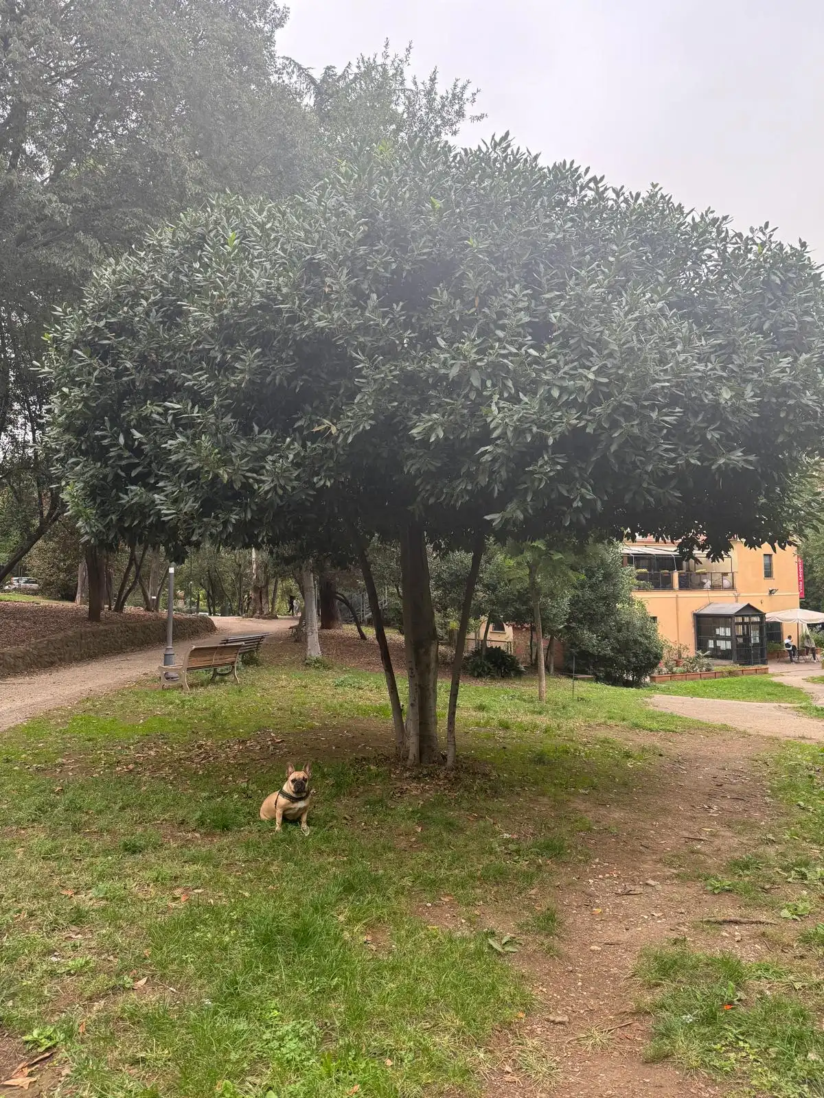 image-17