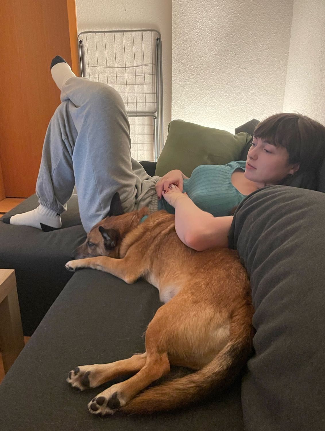 image-8