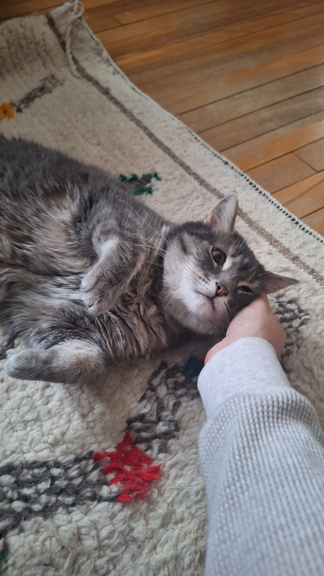image-11