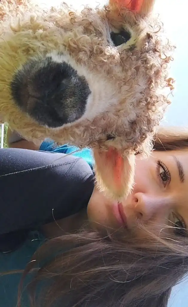 image-8