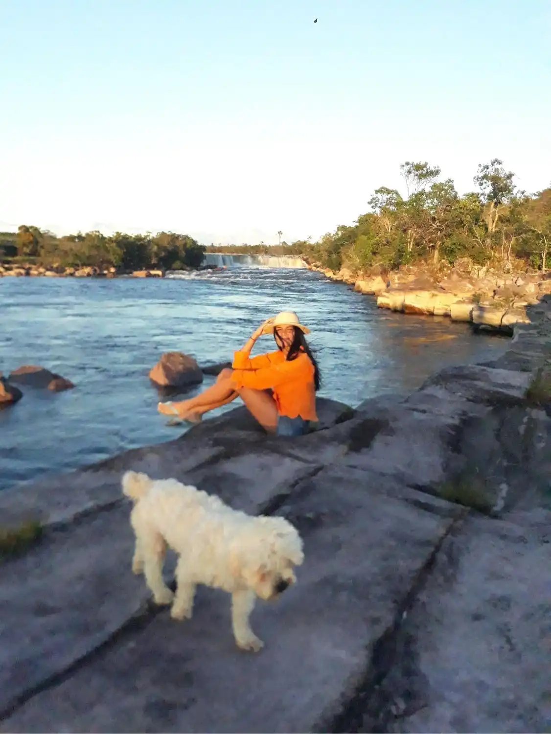 image-5