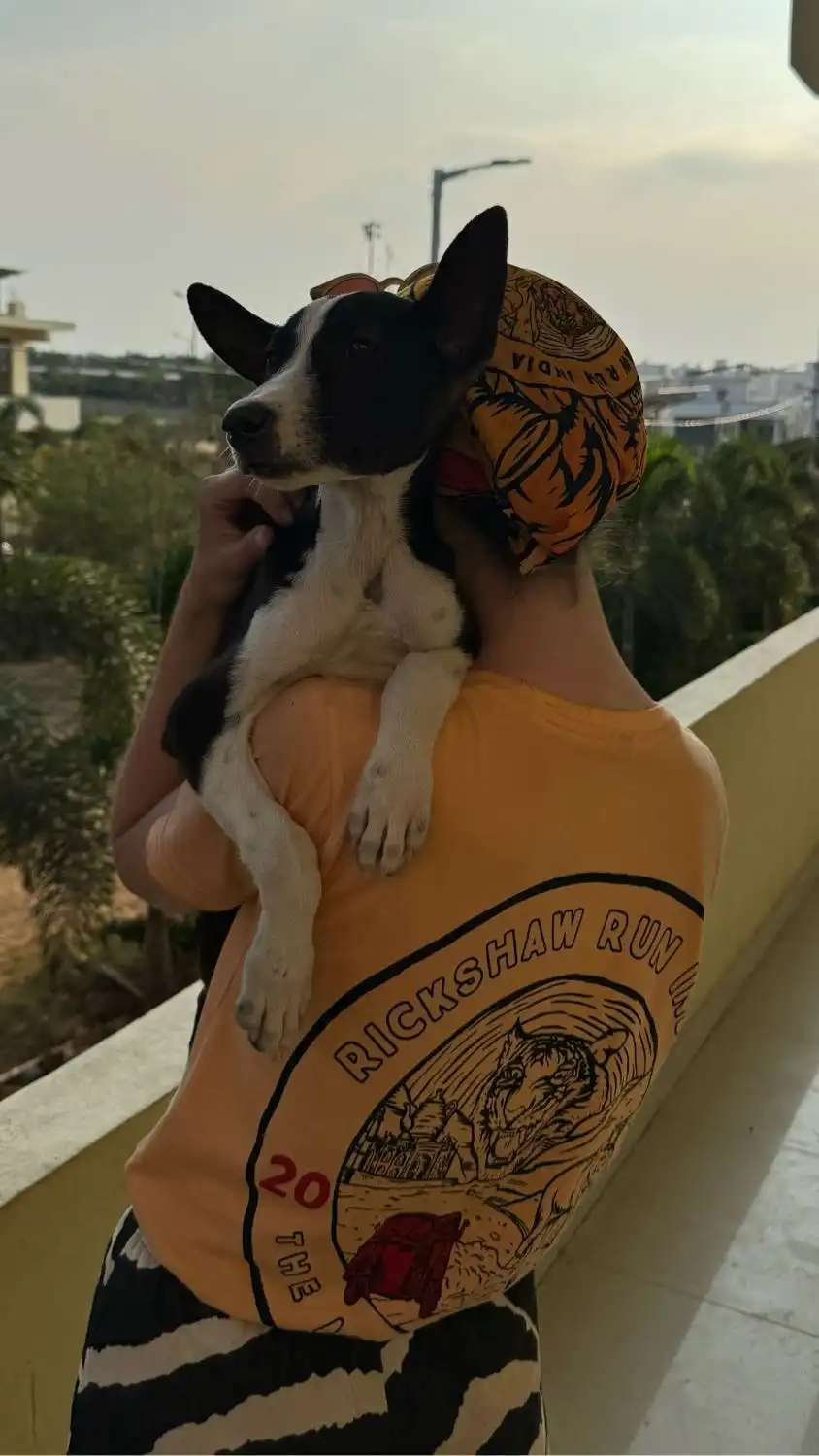 image-8