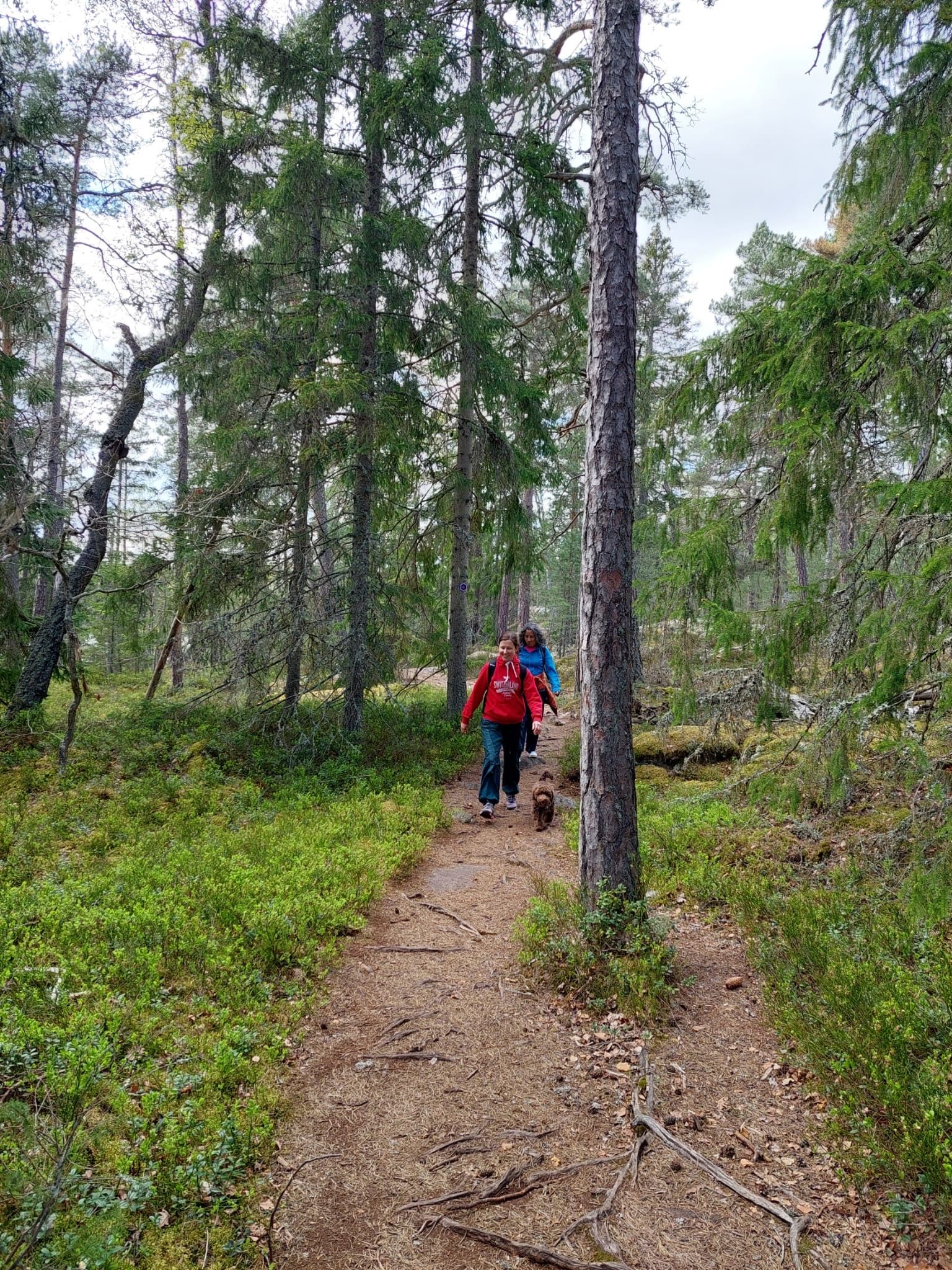 image-5