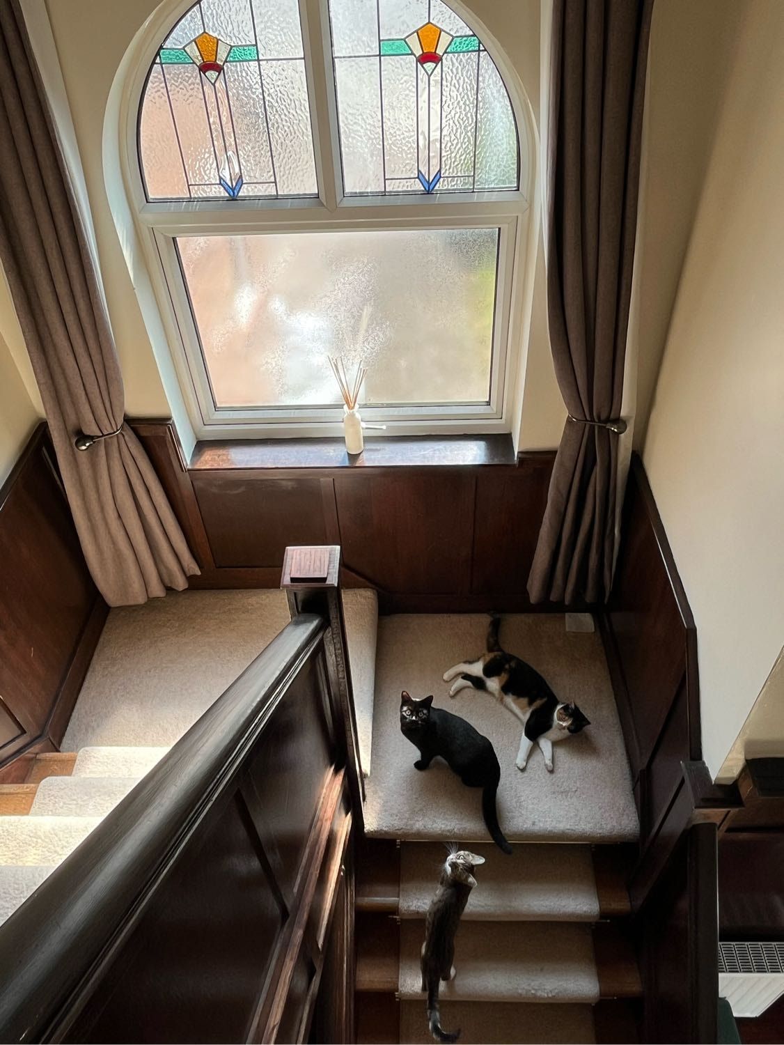 image-5