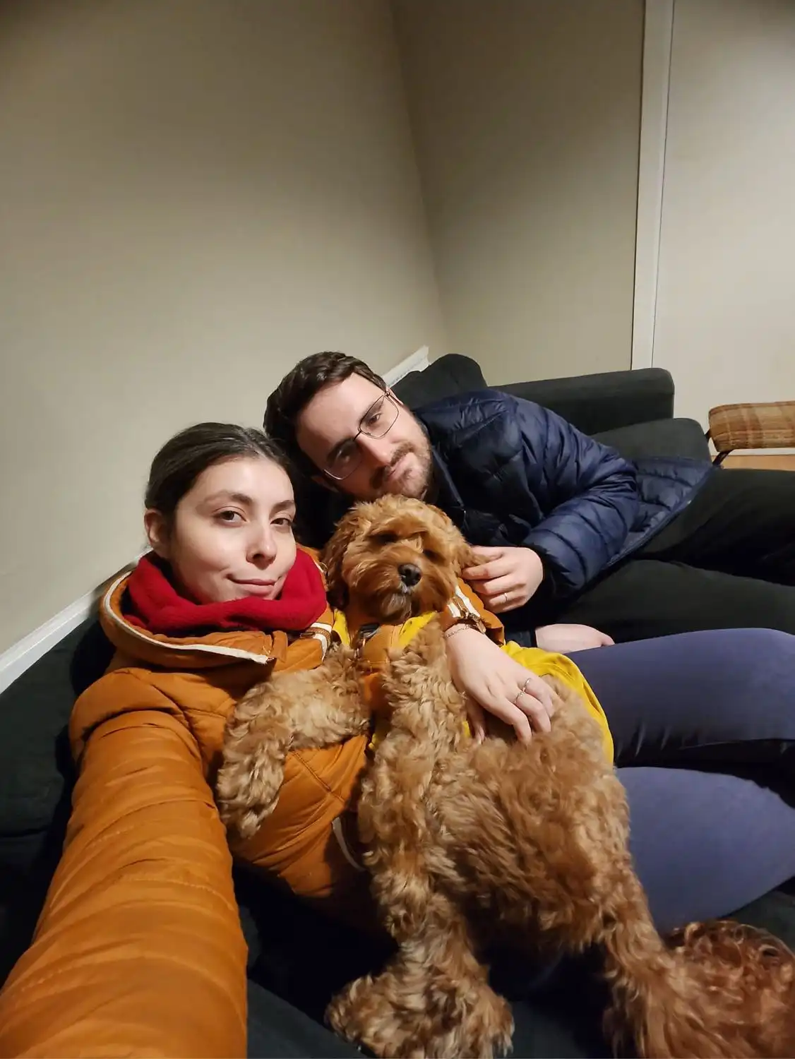 image-6