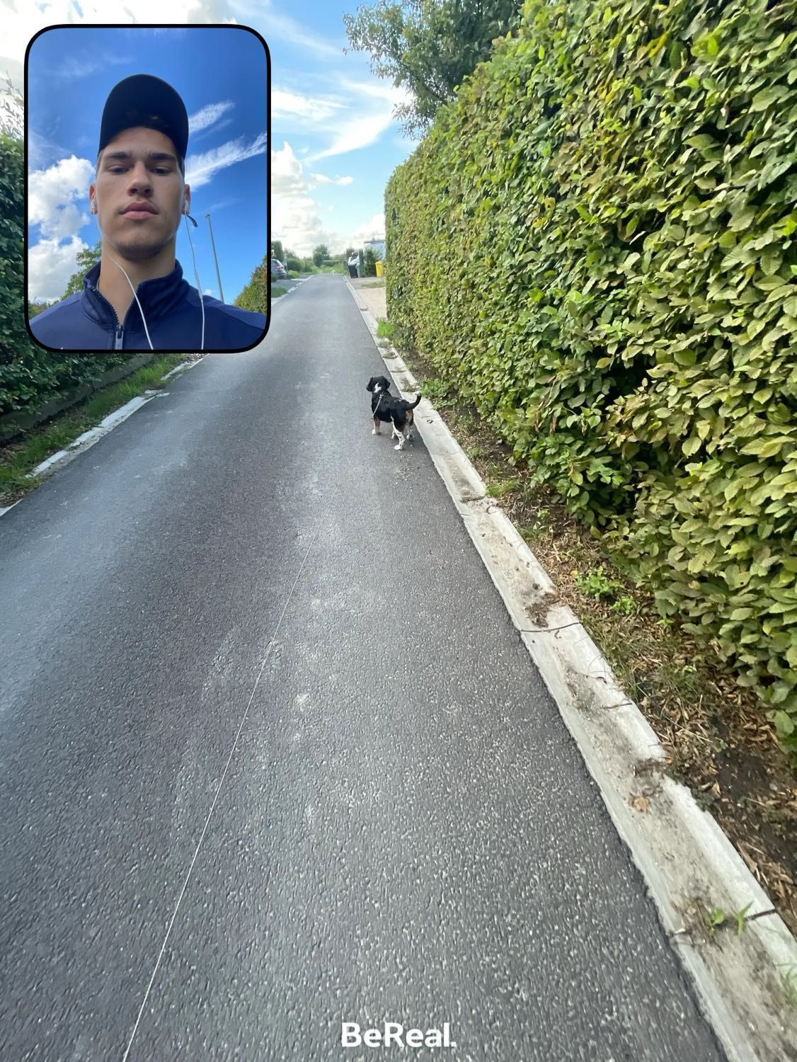 image-2