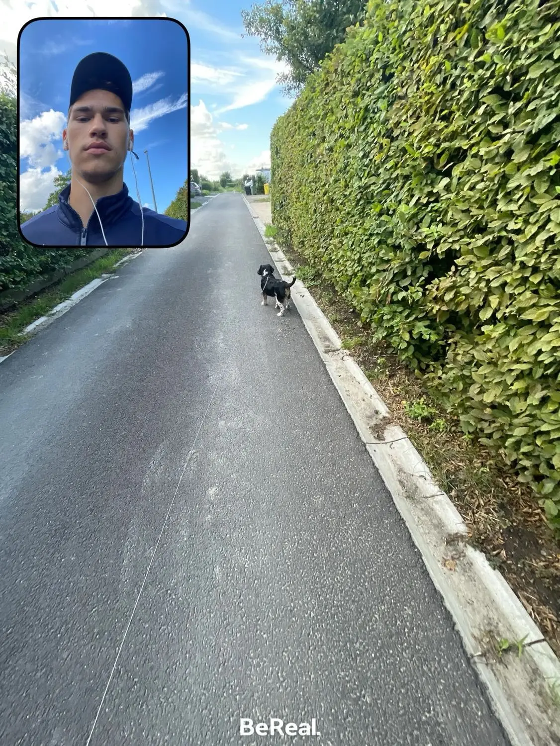 image-2