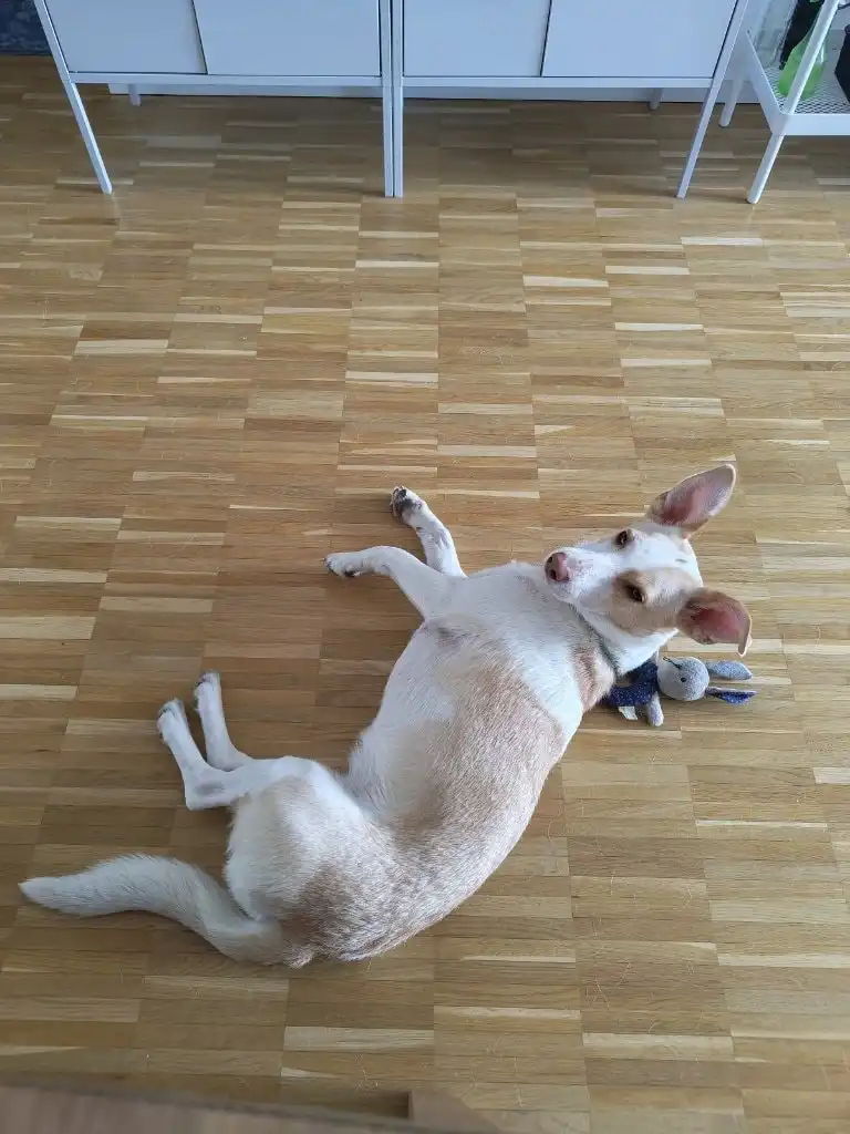 image-17