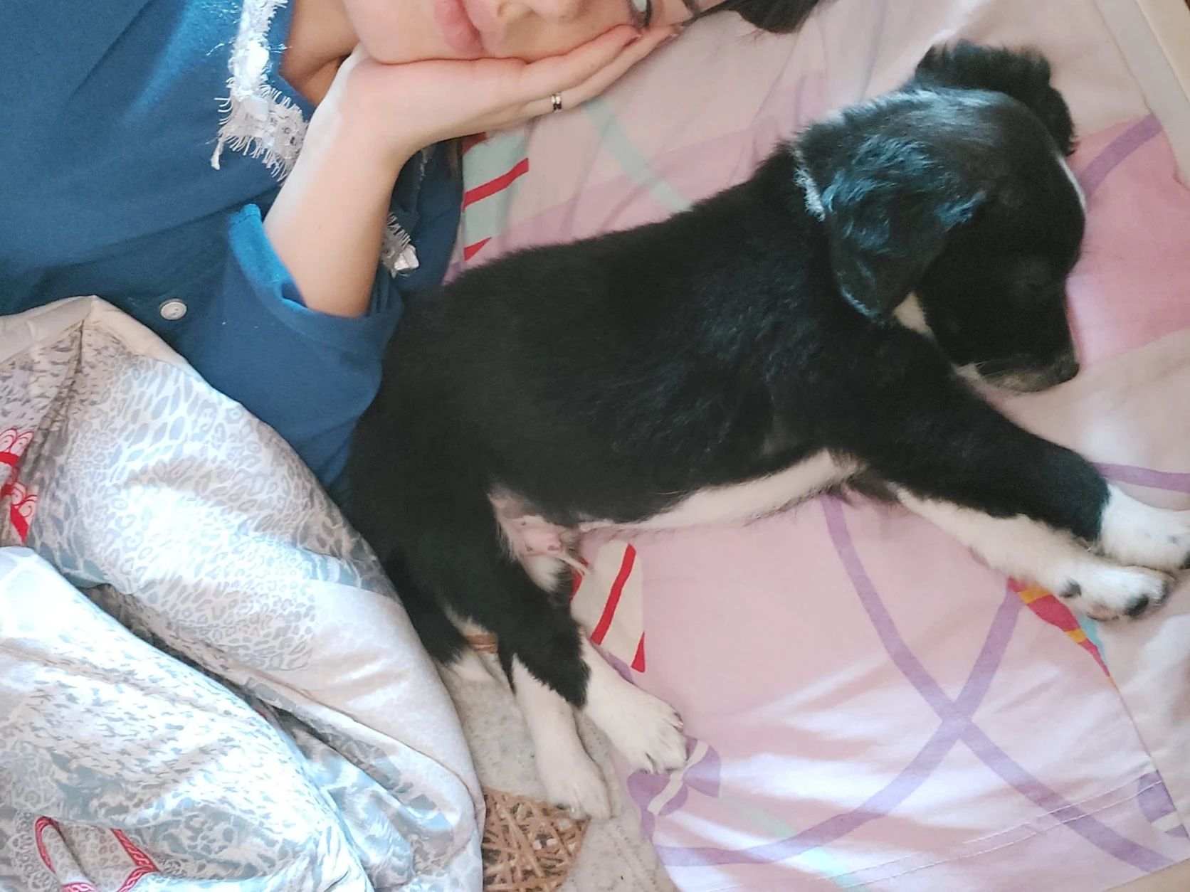 image-7