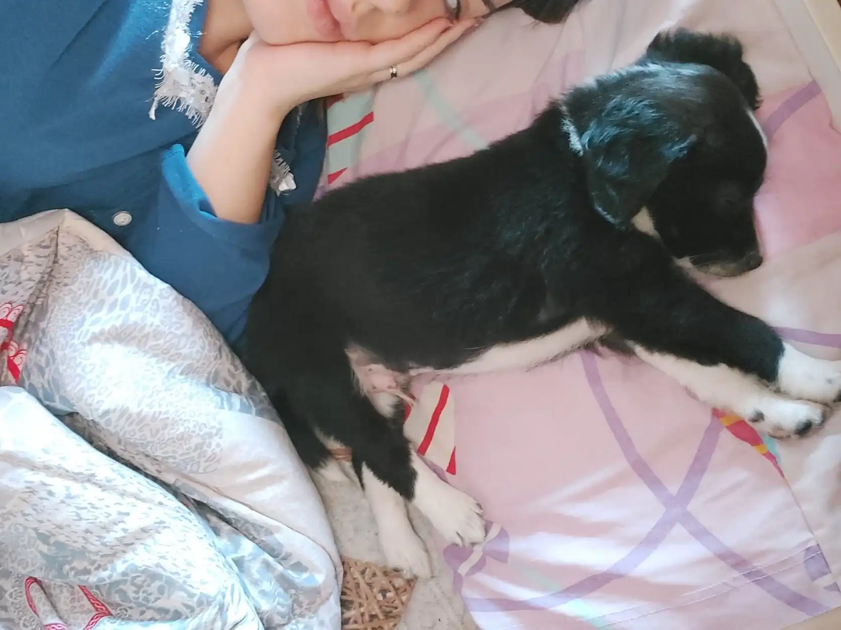 image-7