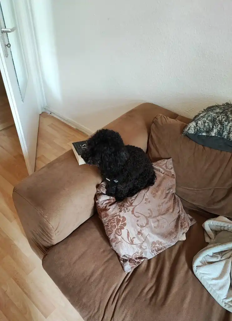 image-5