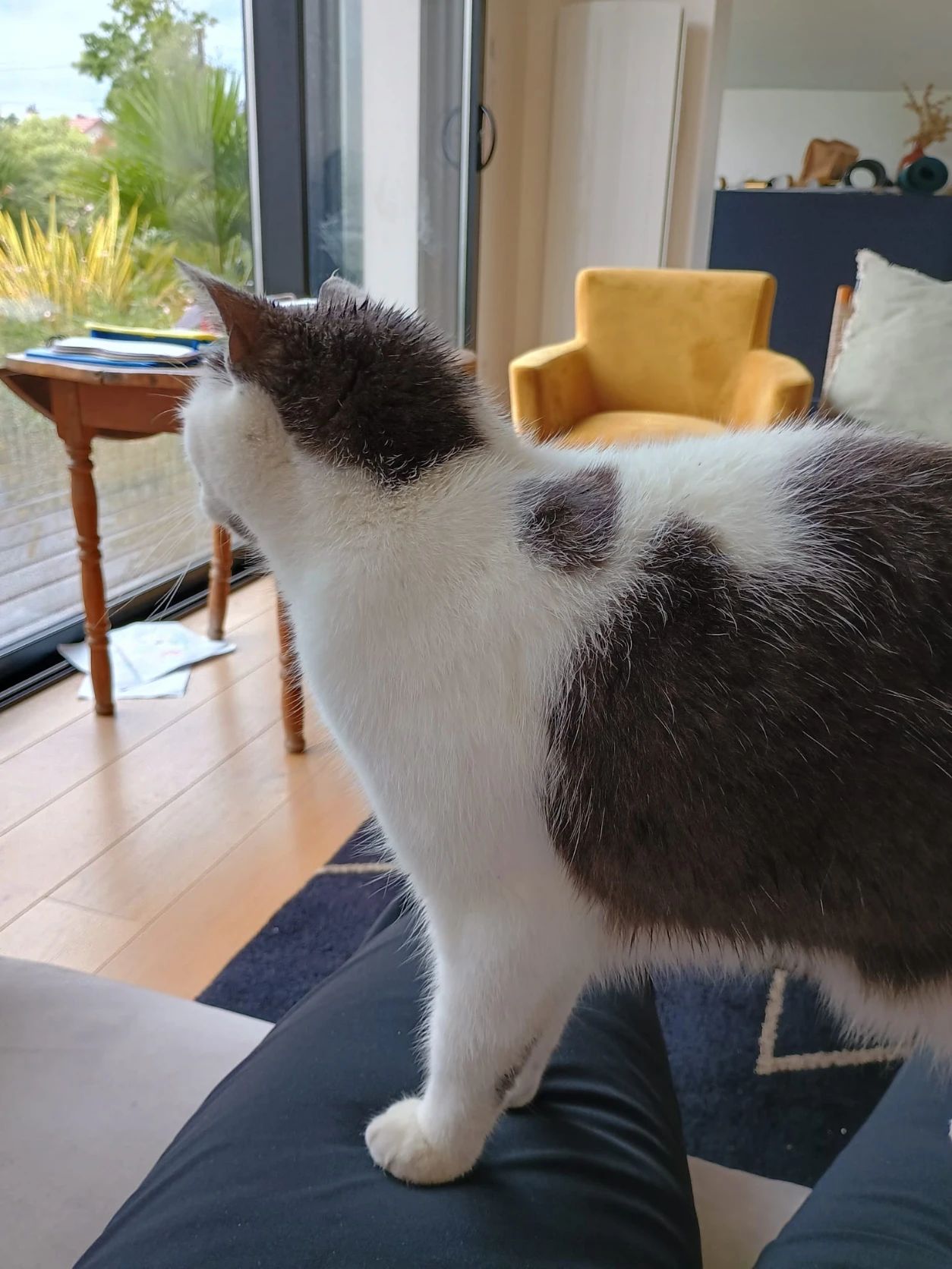 image-8