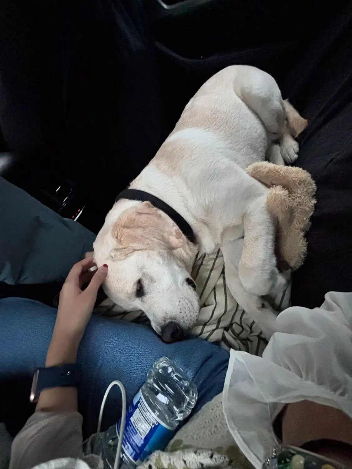 image-9