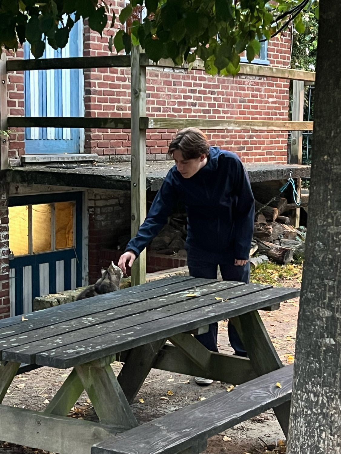 image-3