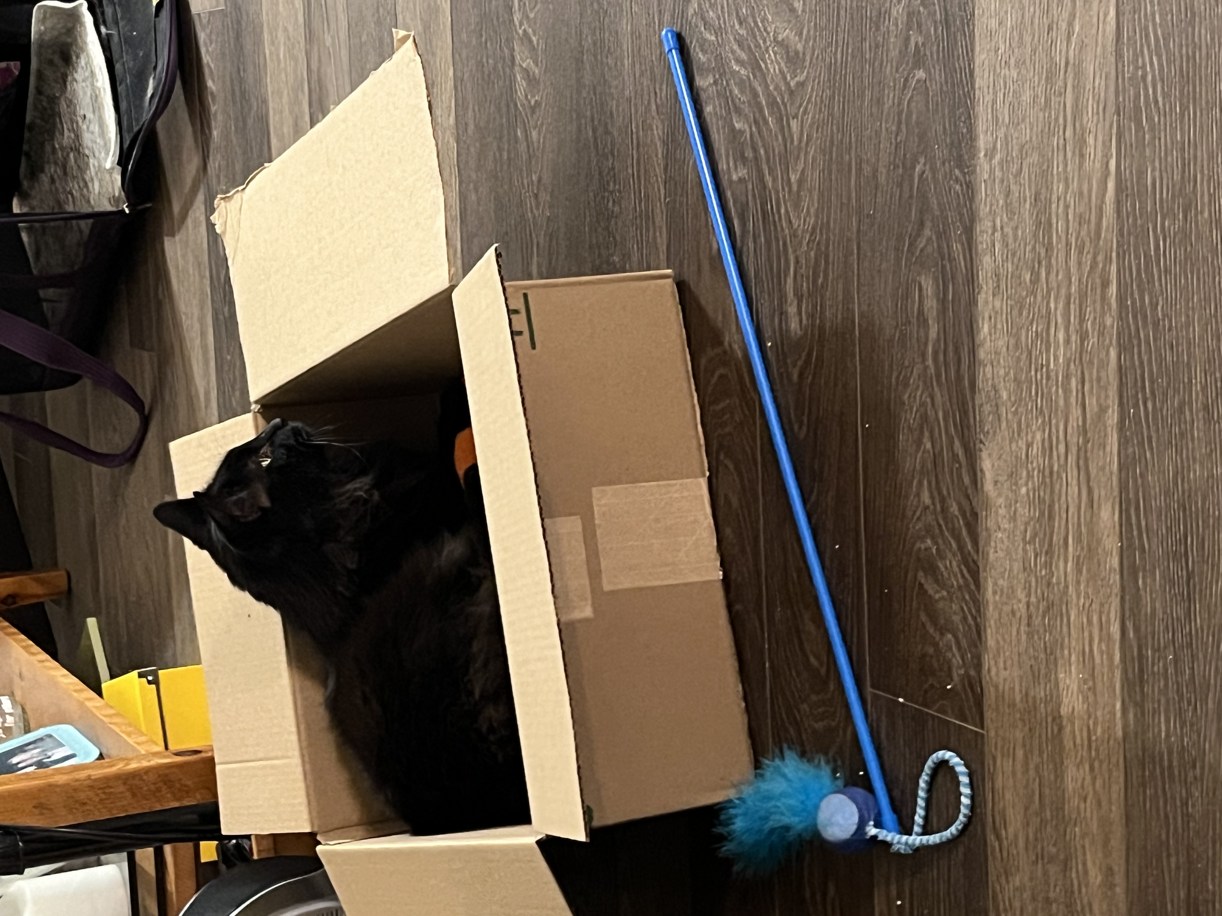 image-7