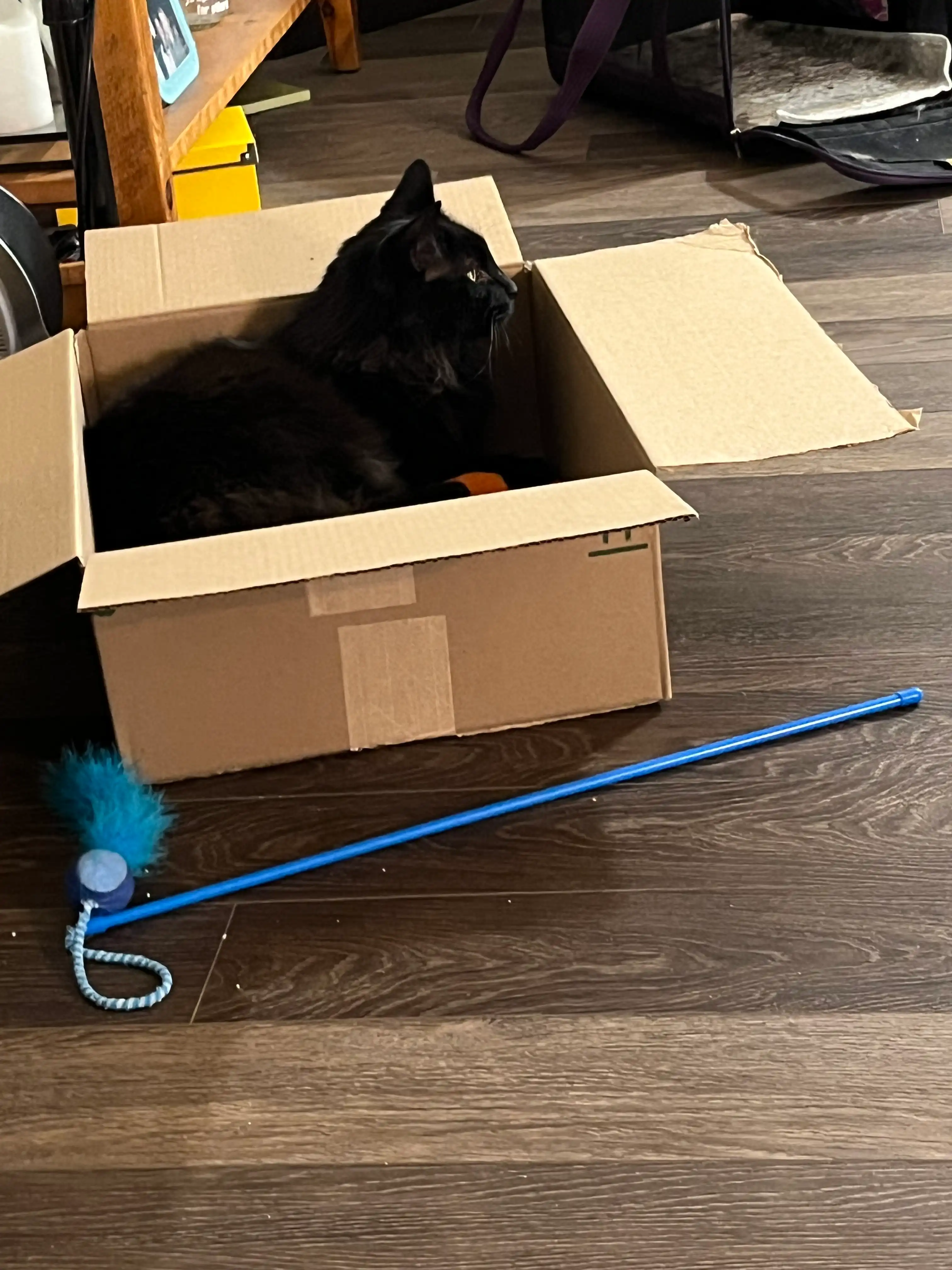 image-7