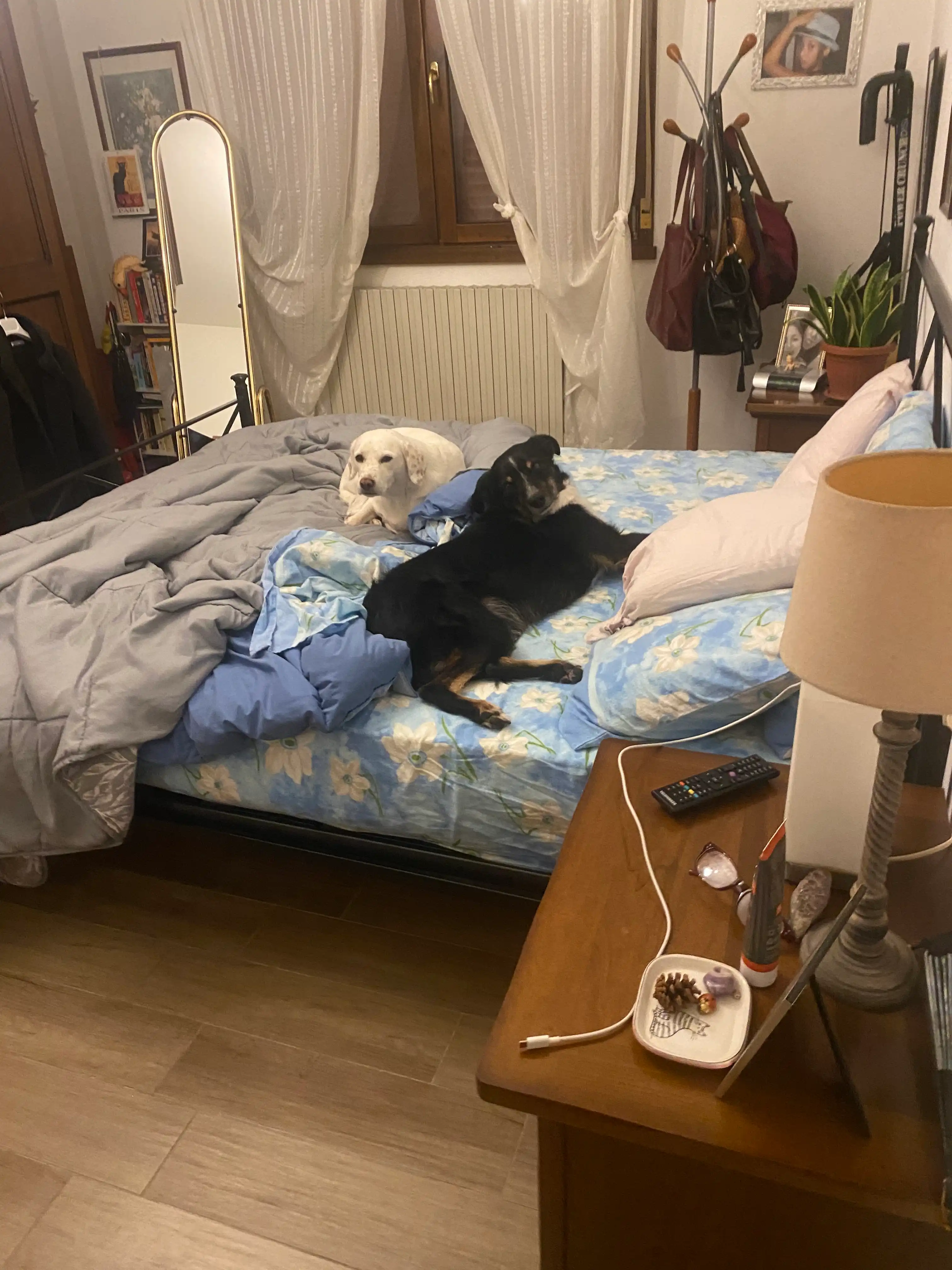 image-18