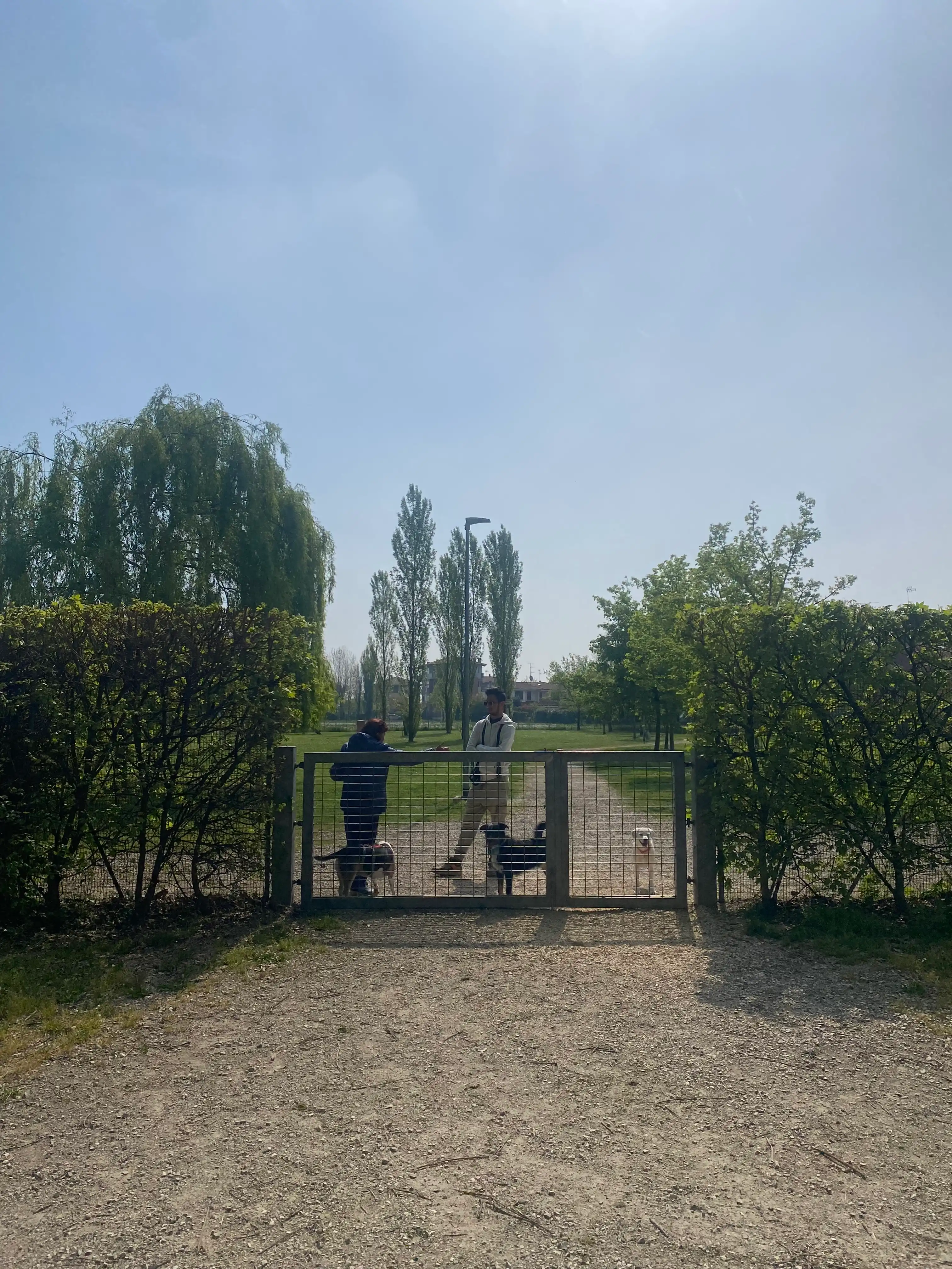 image-14