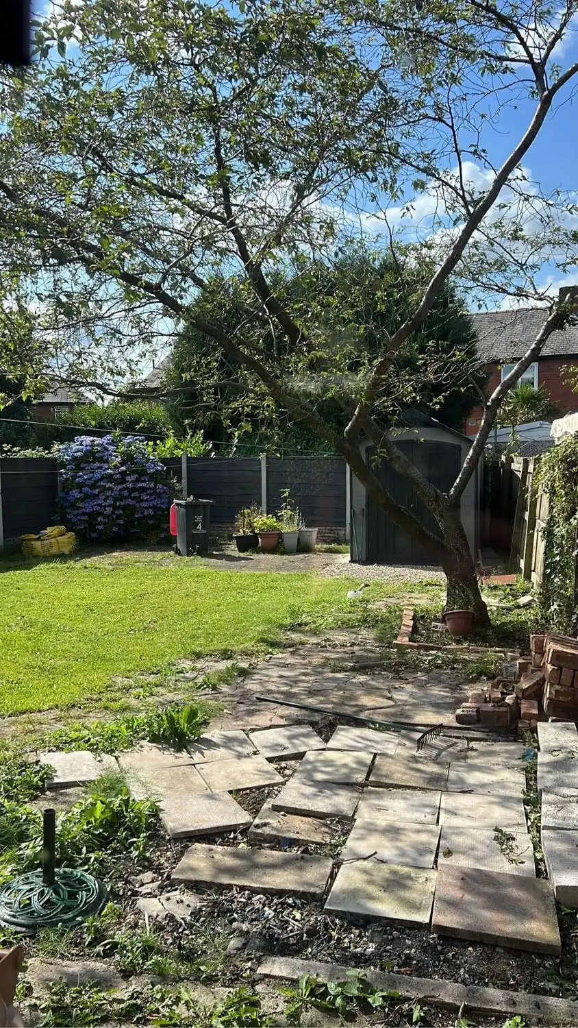 image-12