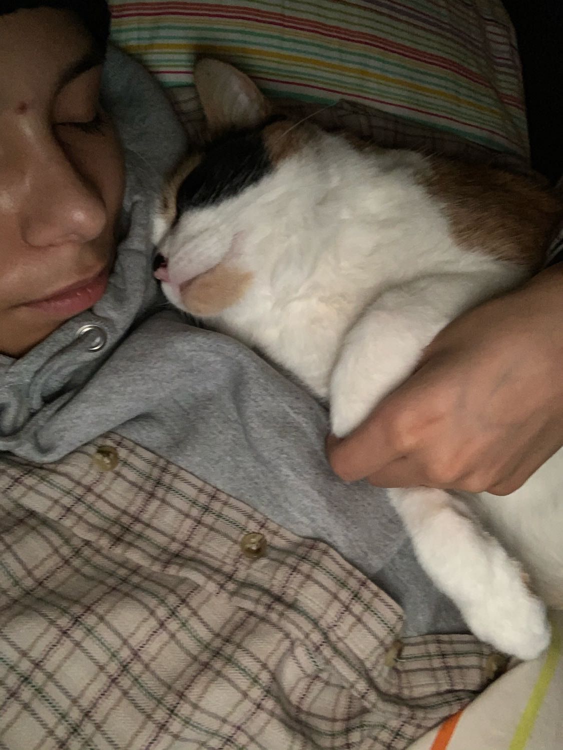 image-8