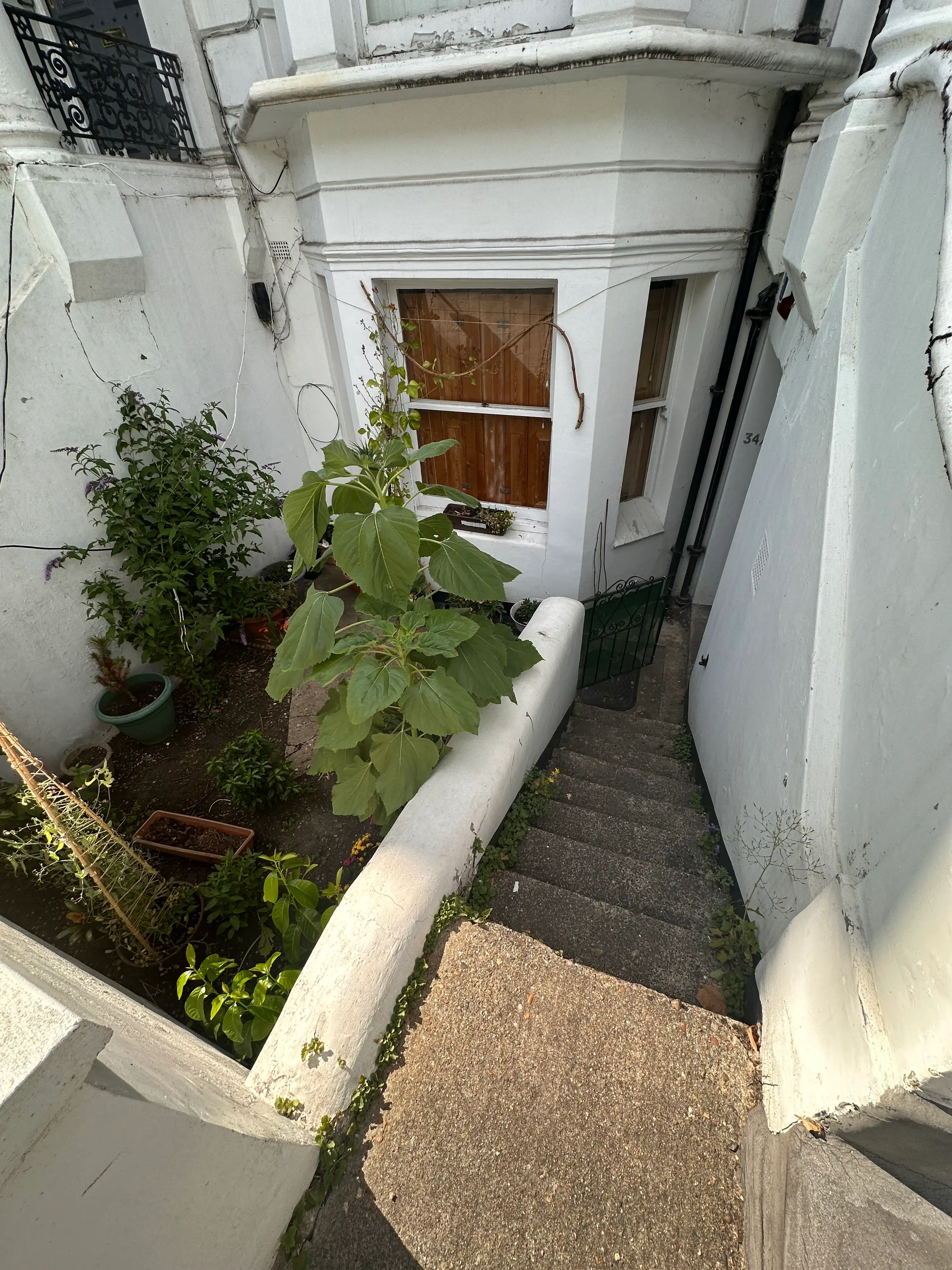 image-20