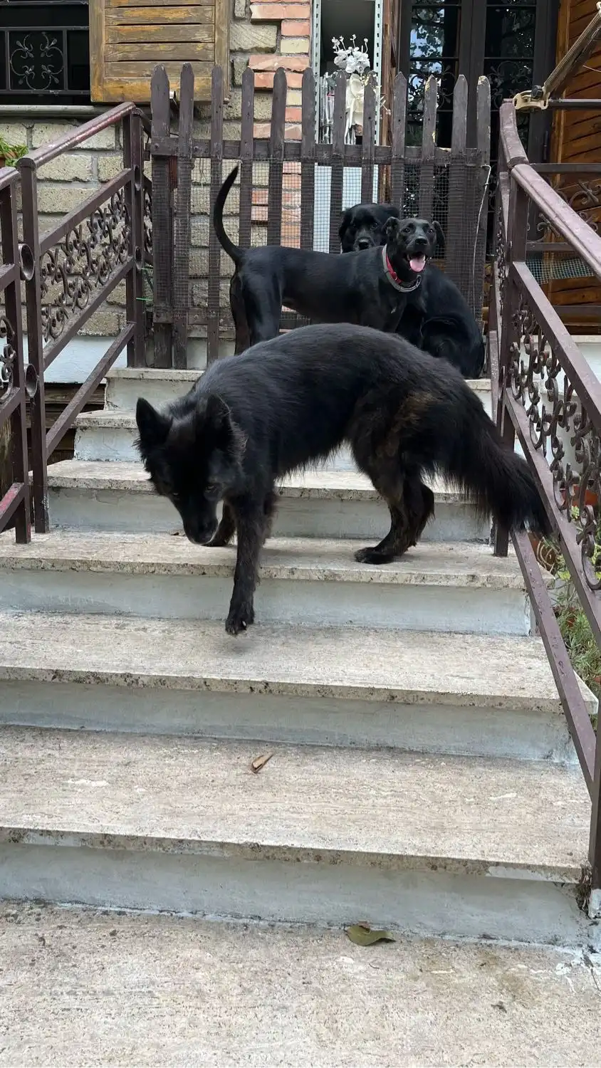 image-5