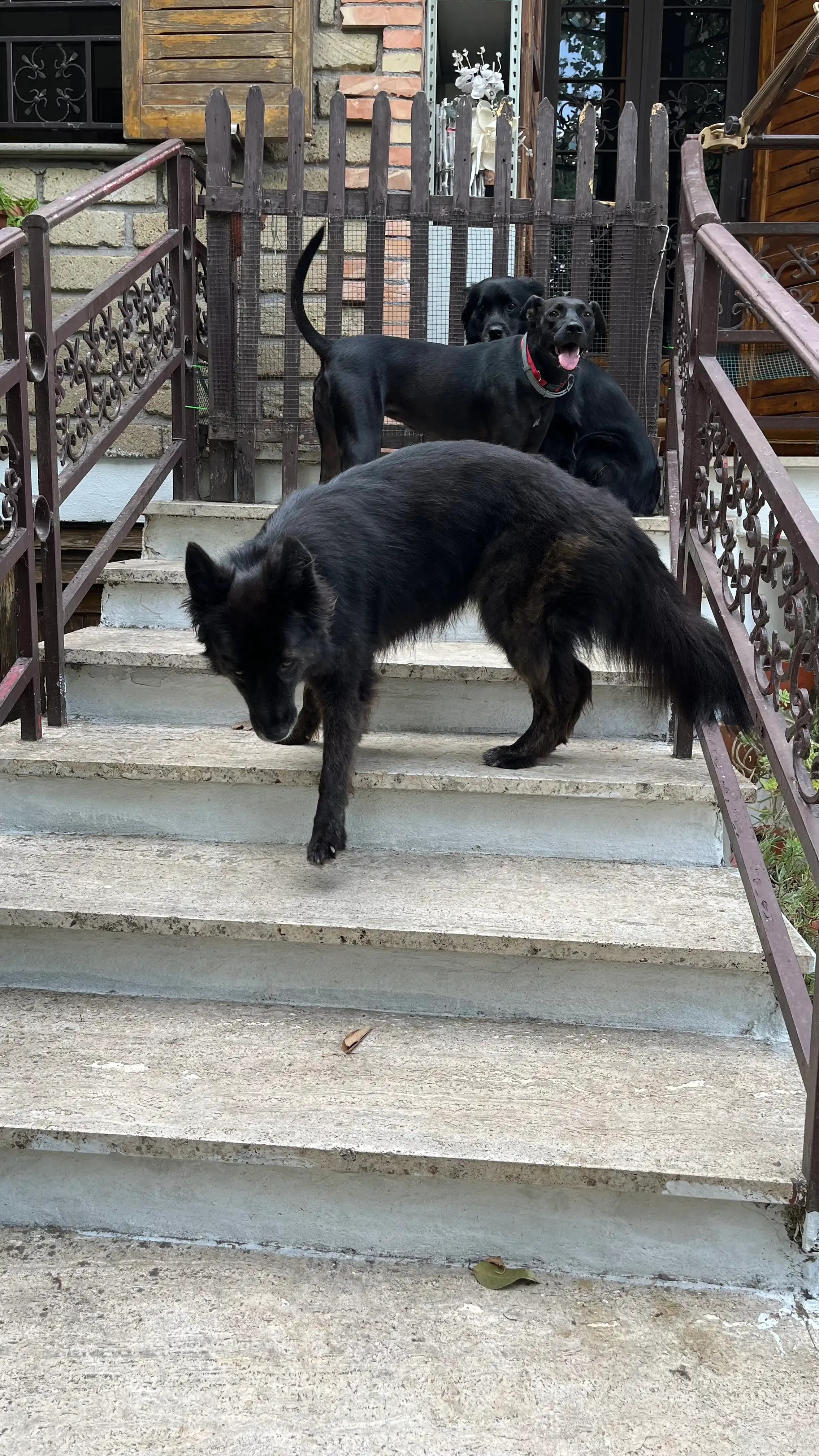image-28