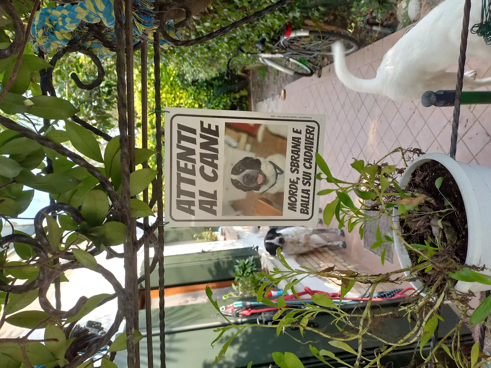 image-13