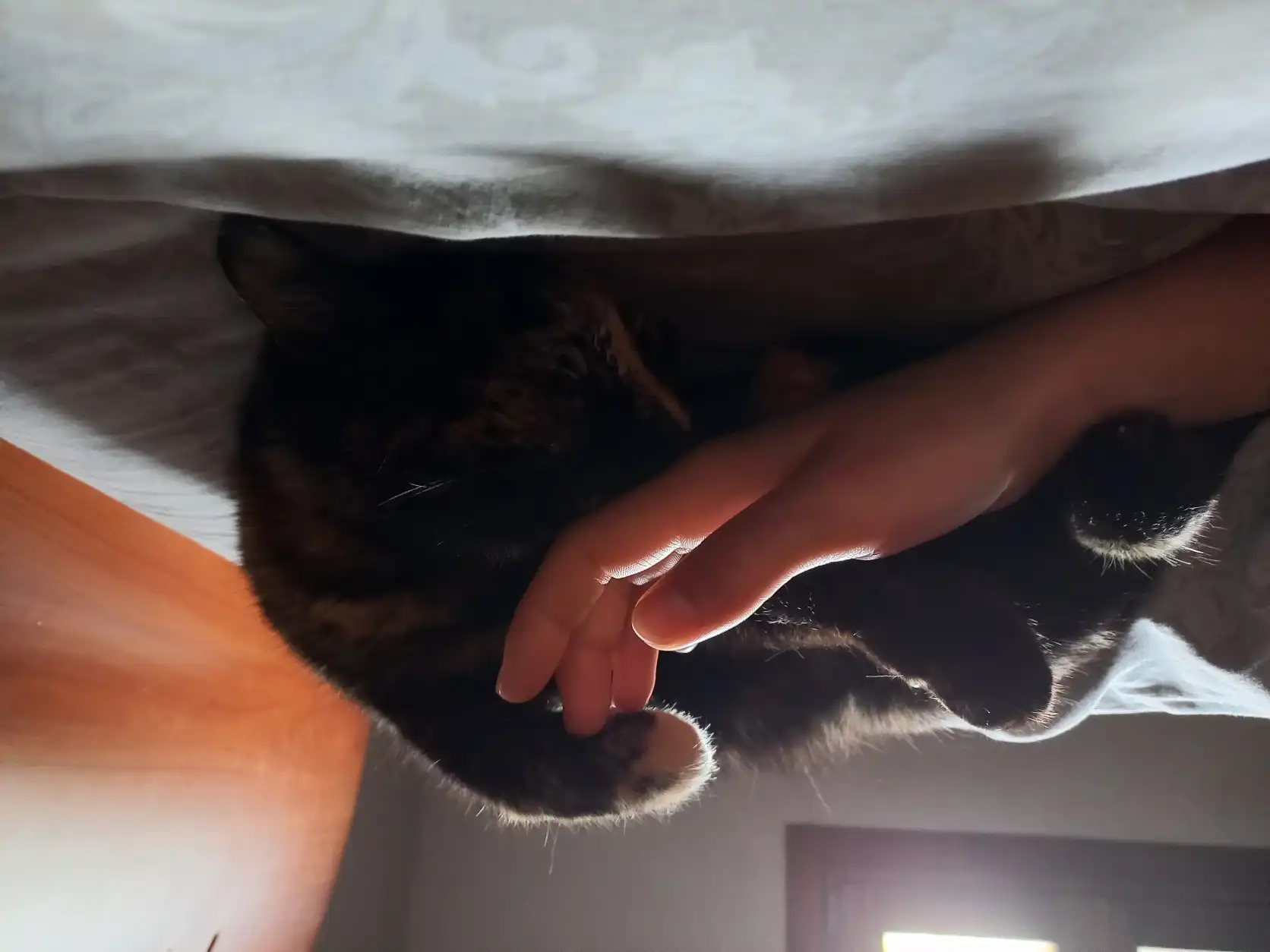 image-7