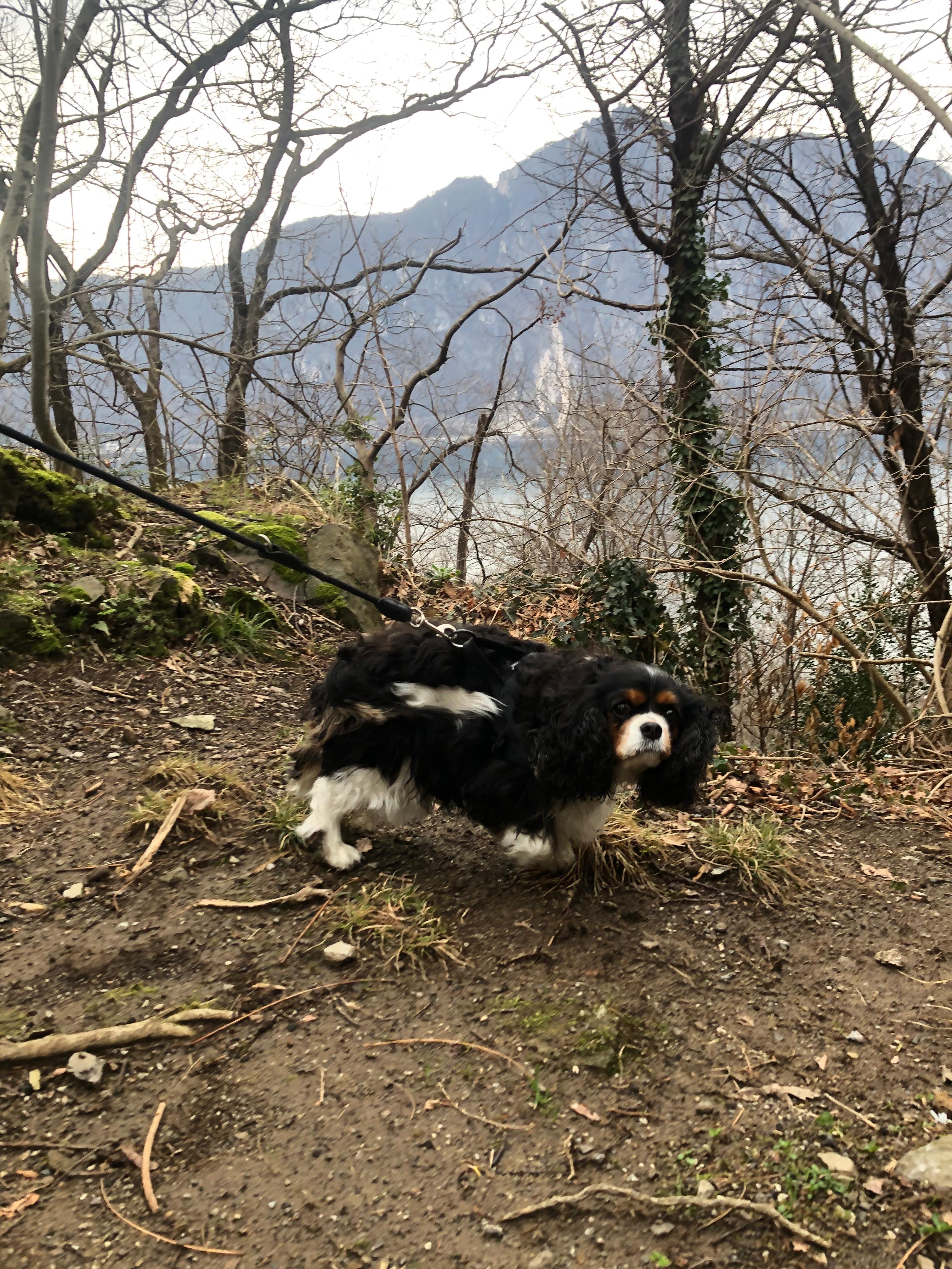 image-10