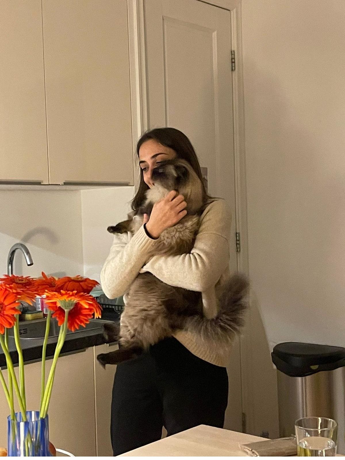 image-6