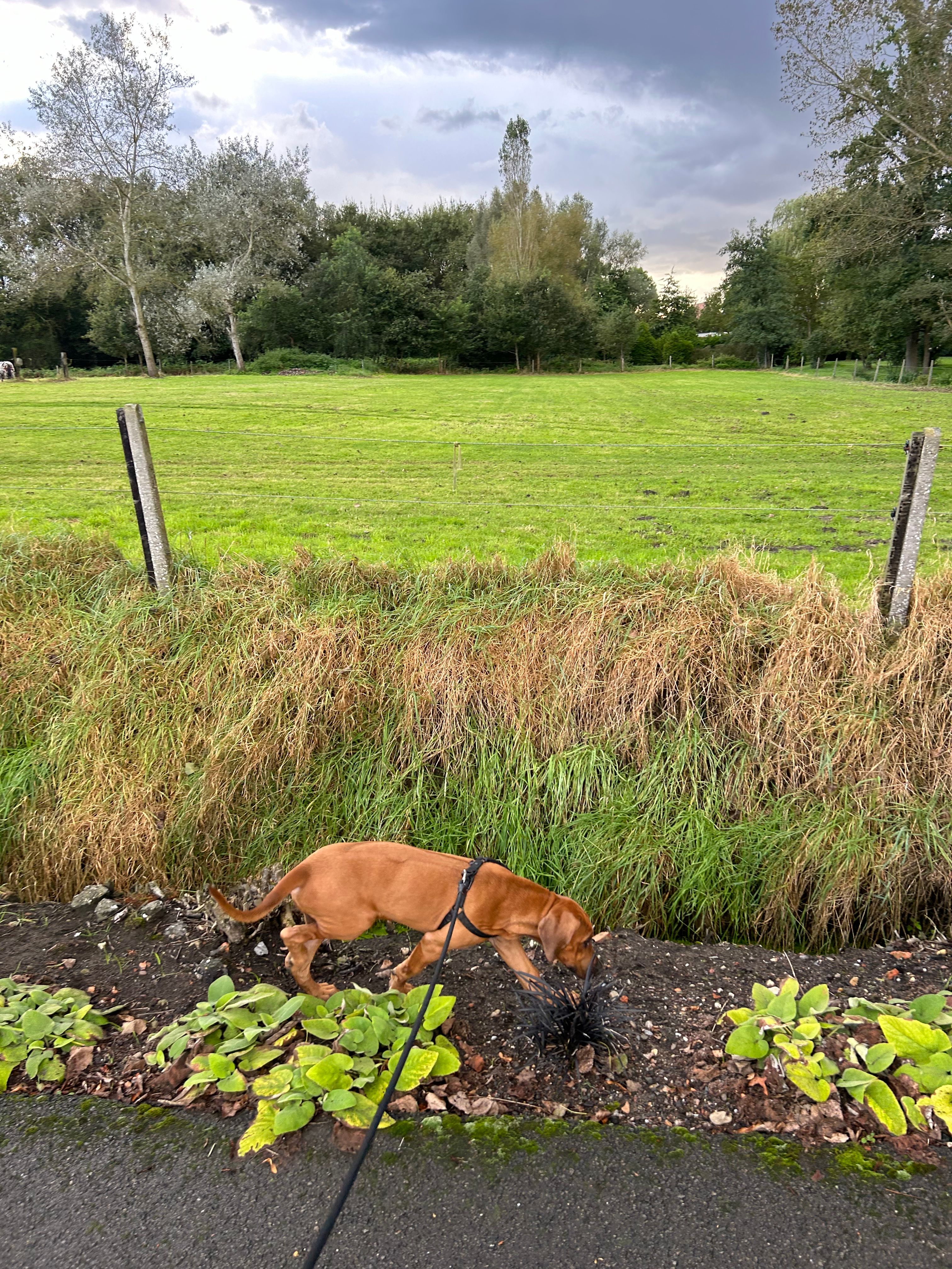 image-10