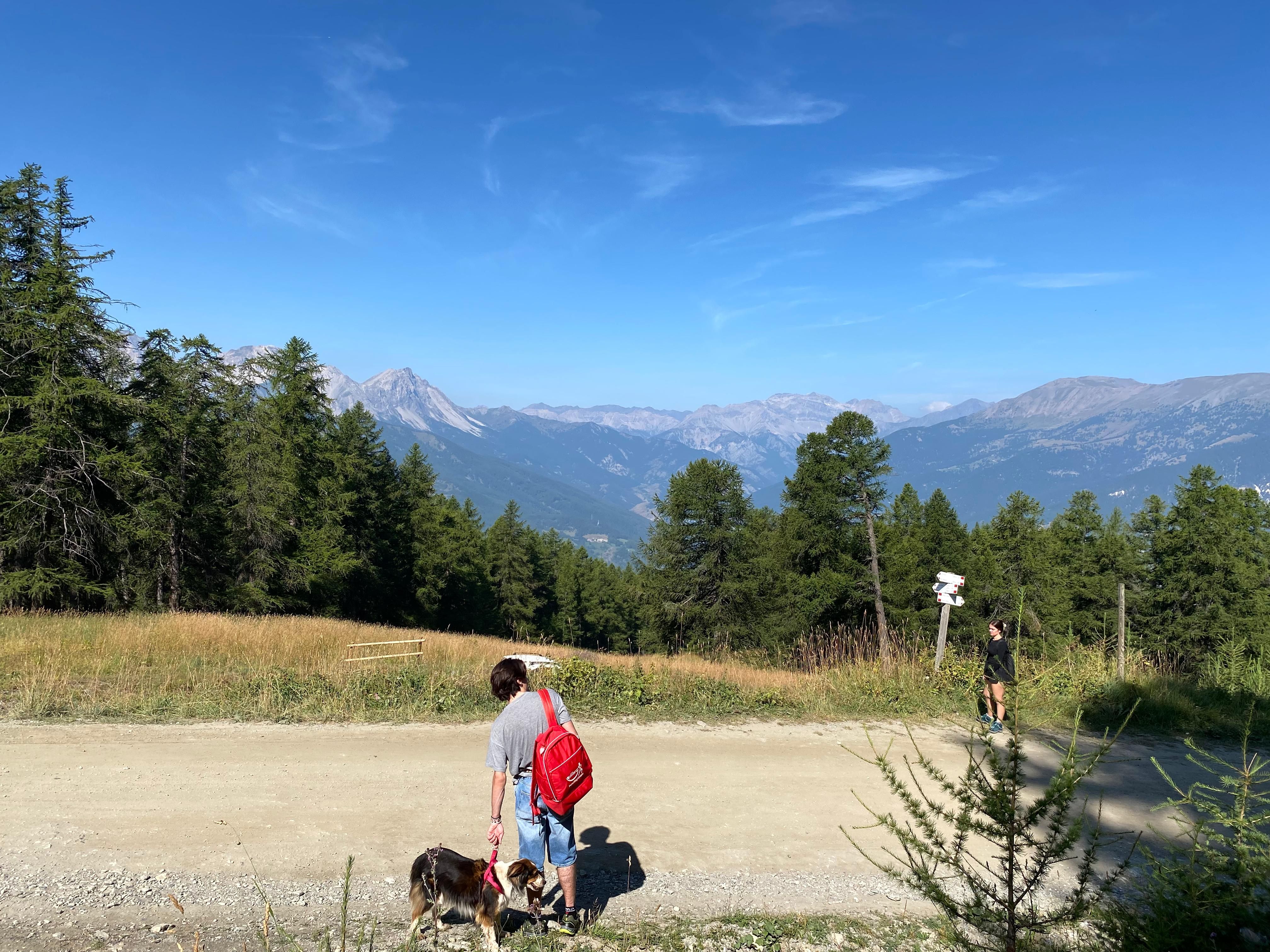 image-4