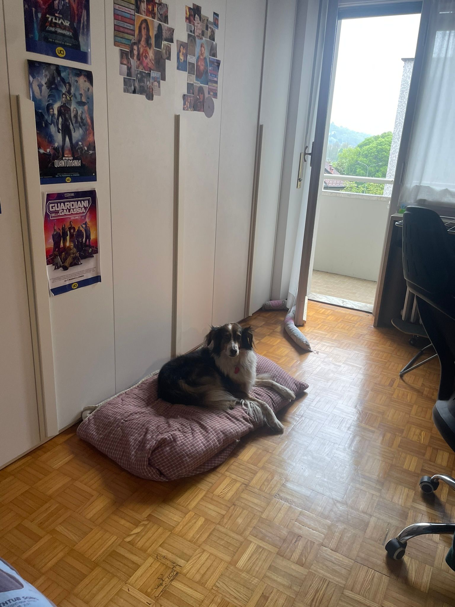 image-9