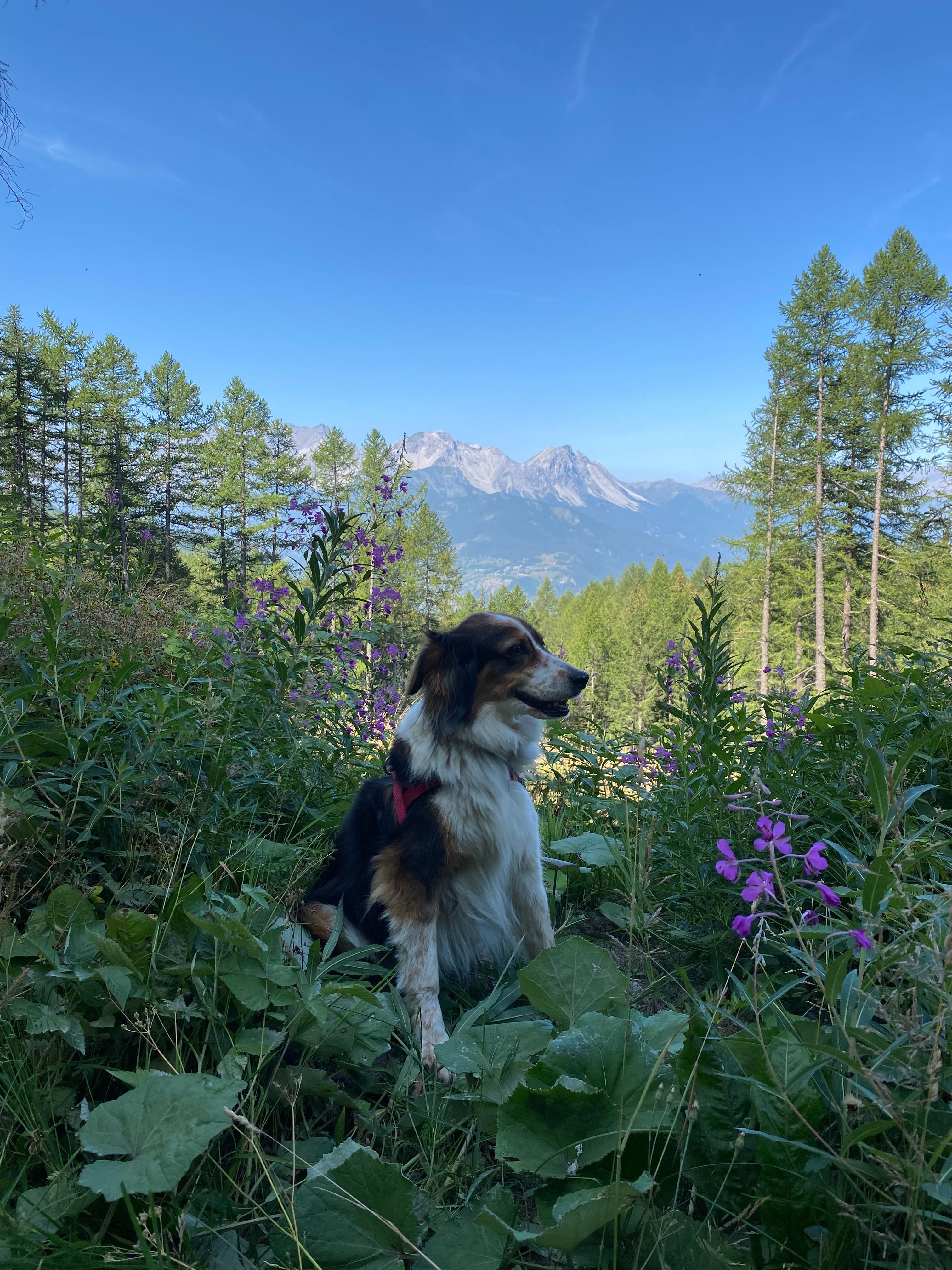 image-6