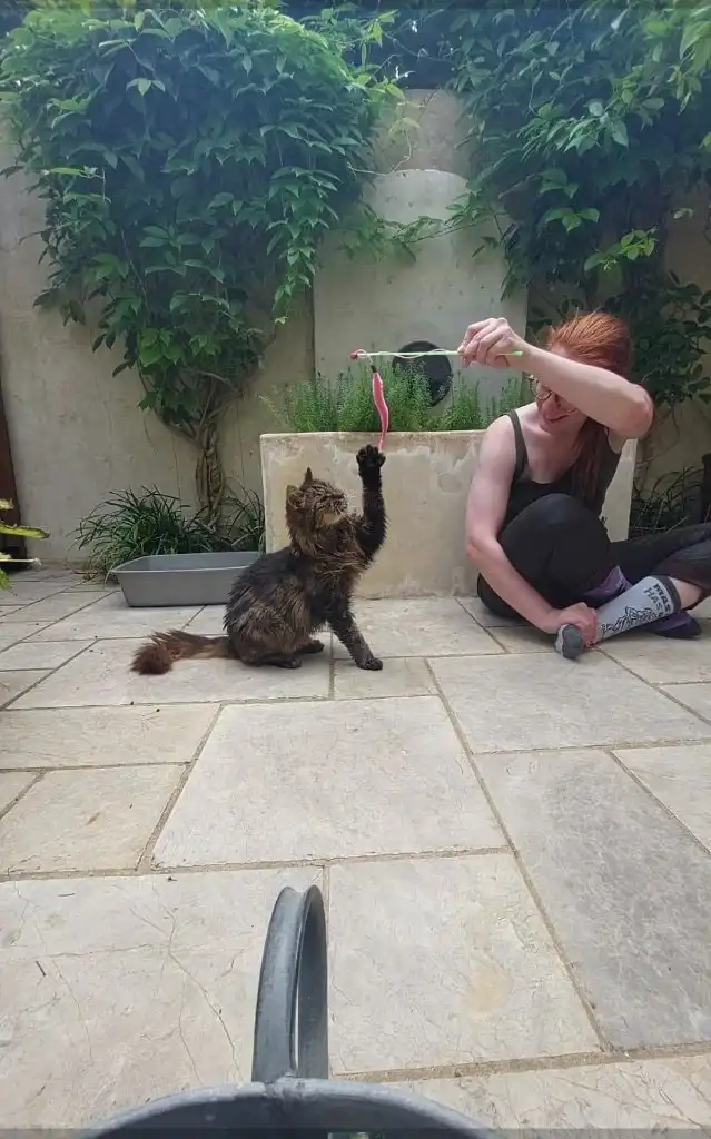 image-5