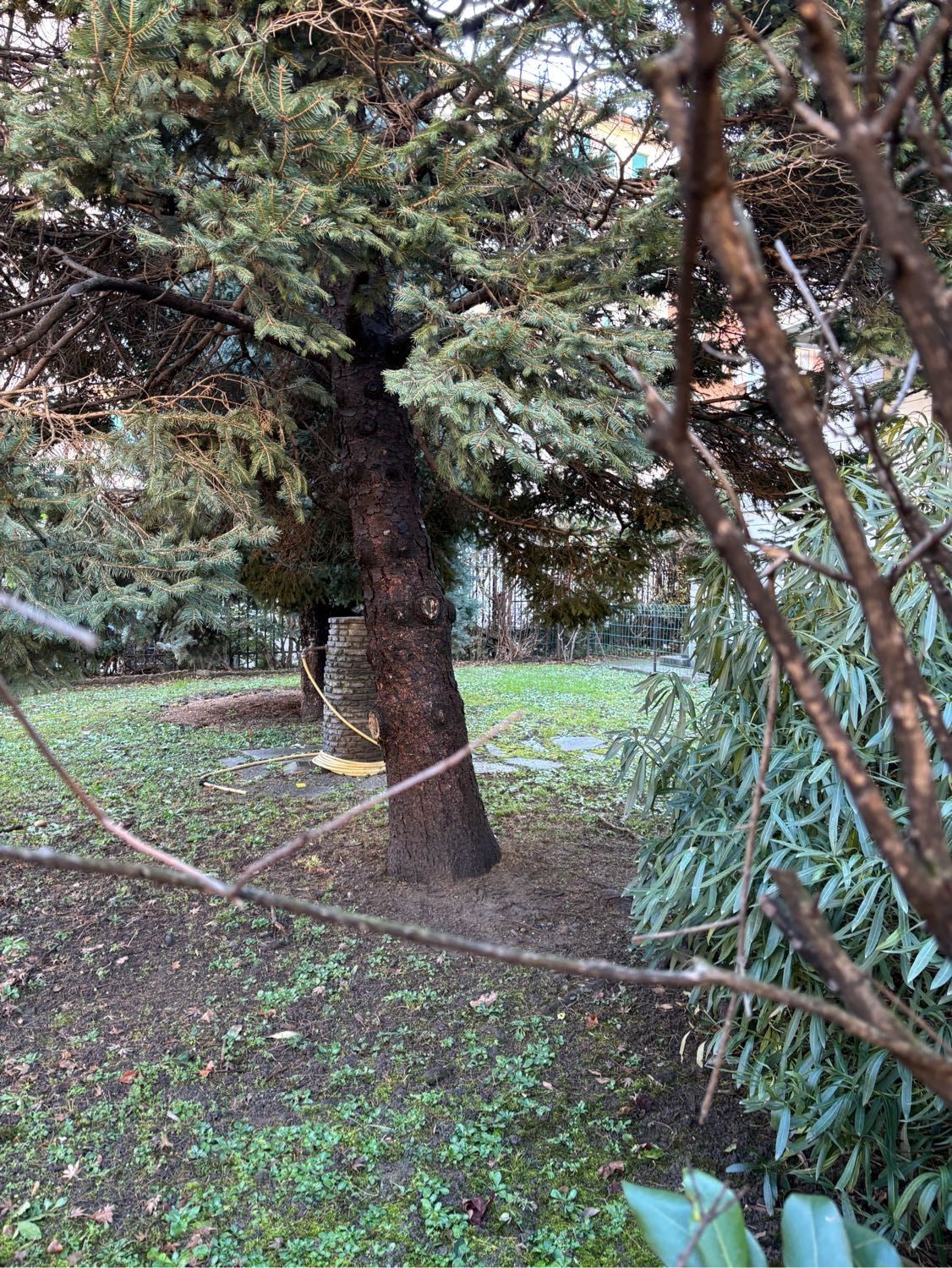 image-43
