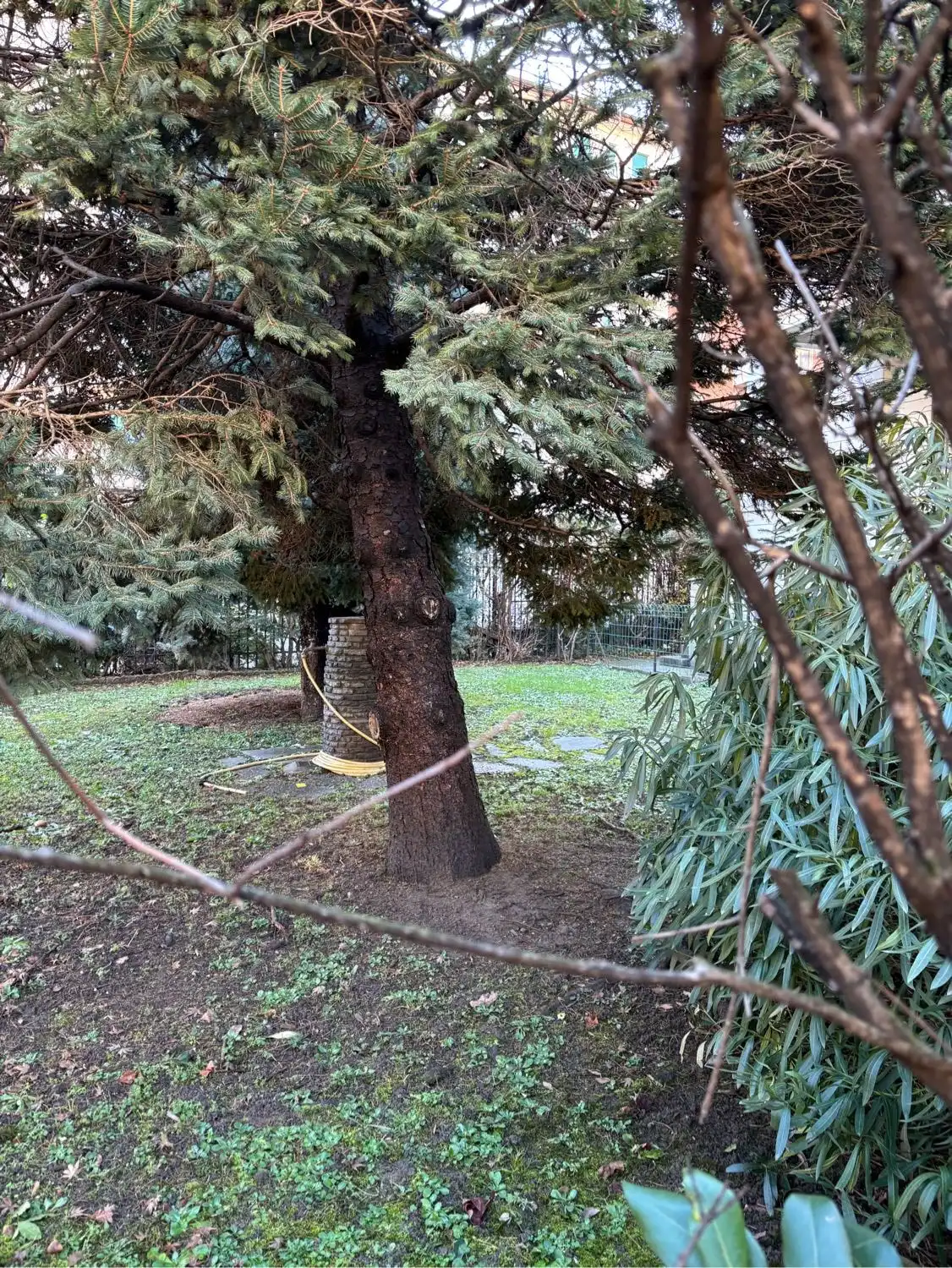 image-43