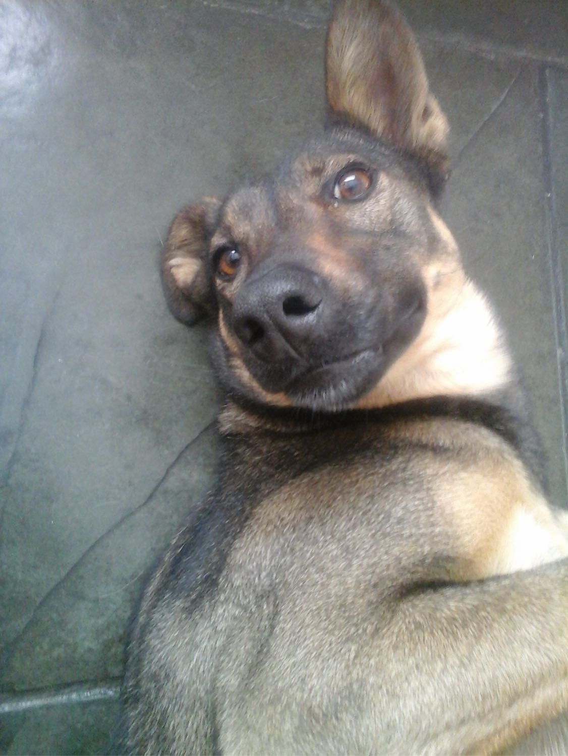 image-7