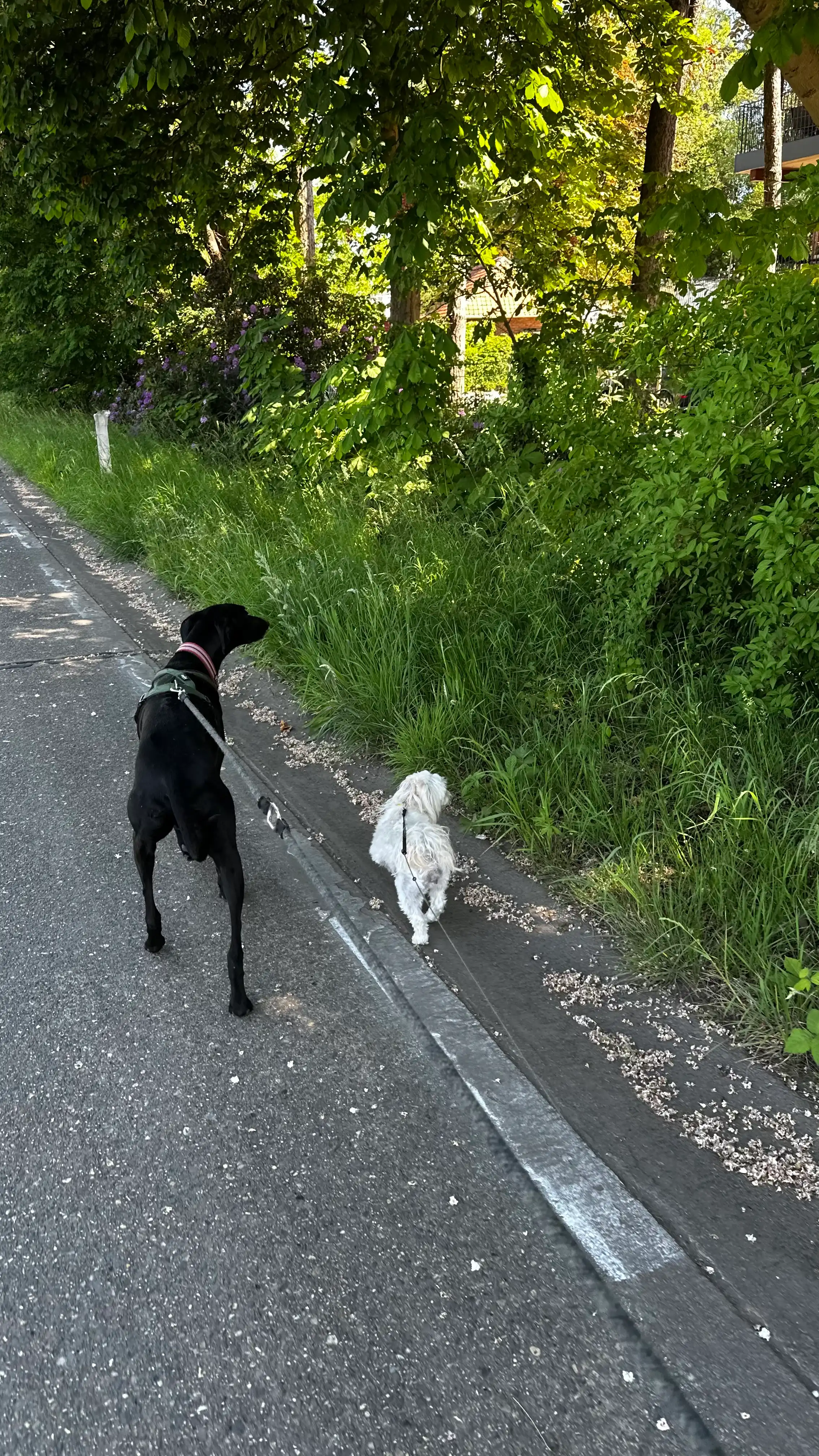 image-18