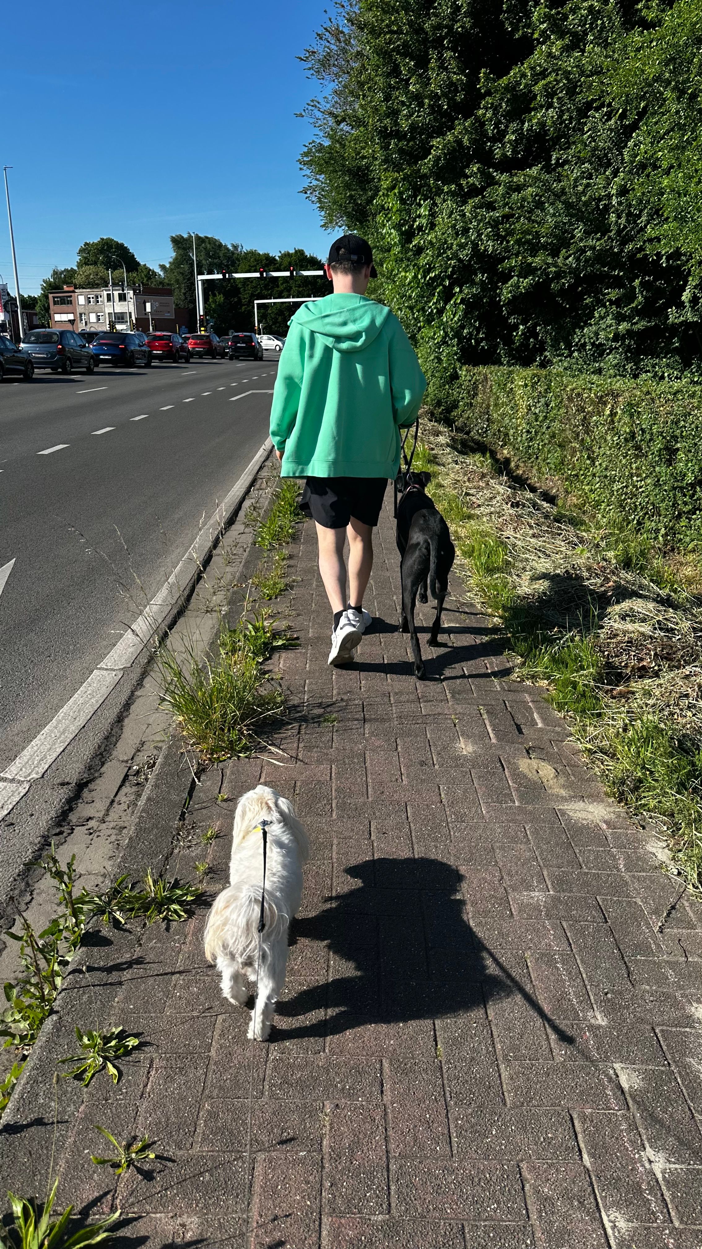 image-16