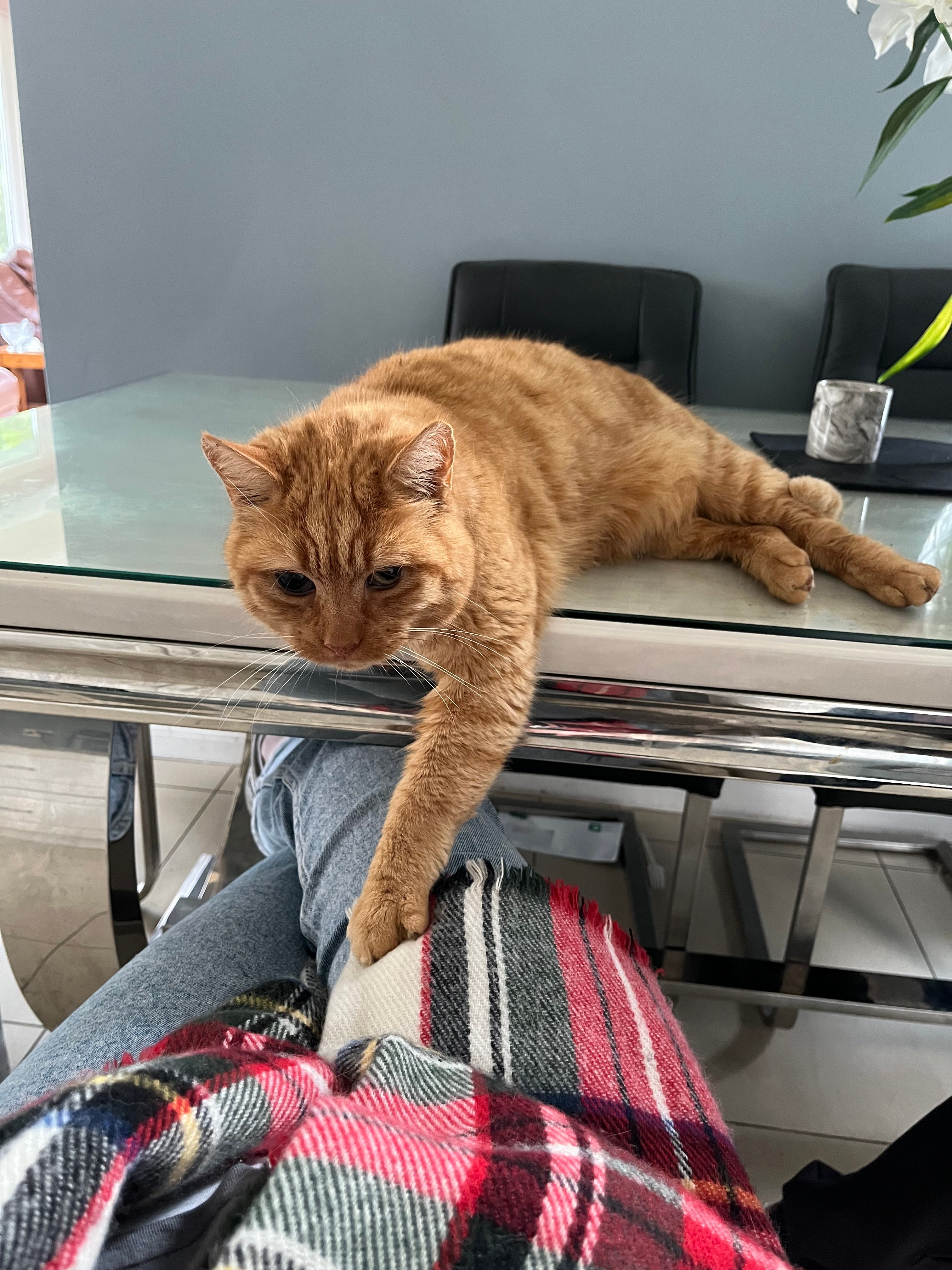 image-10