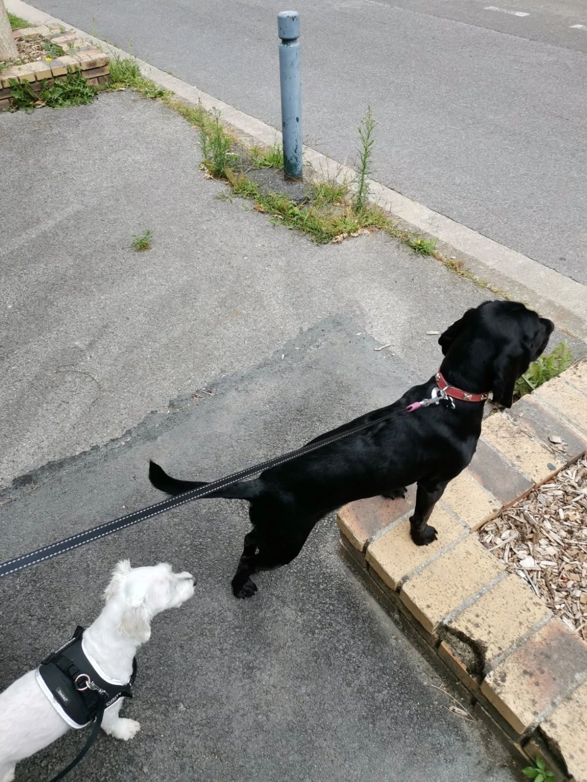 image-14