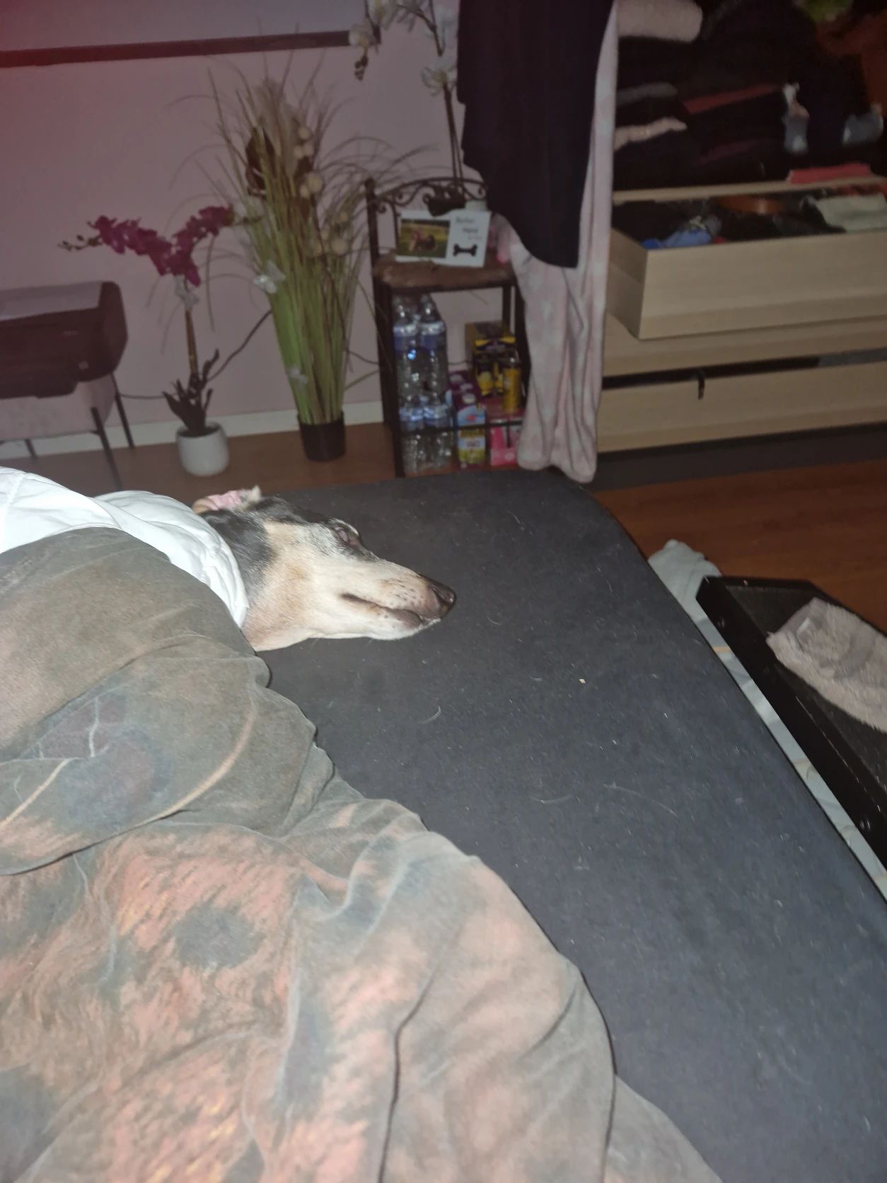 image-52