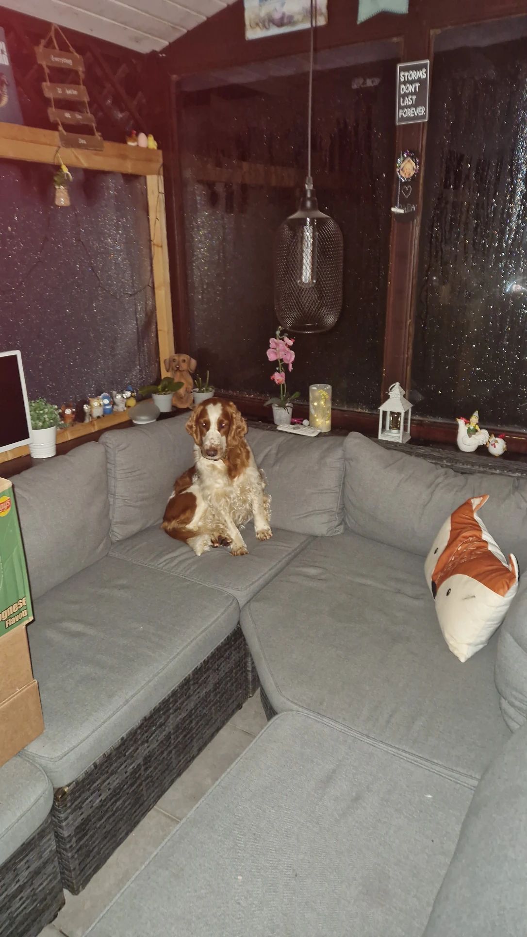image-51