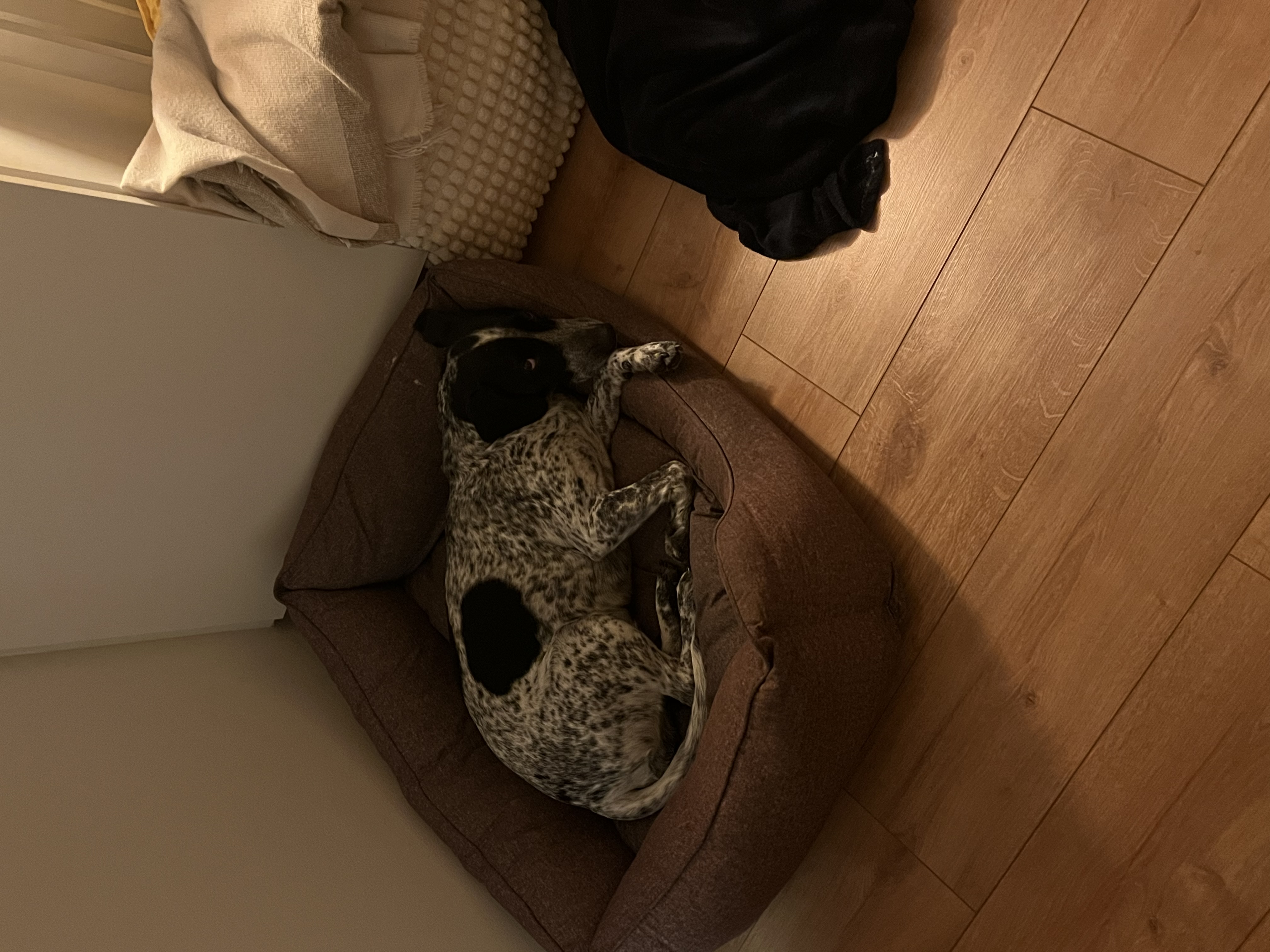 image-13