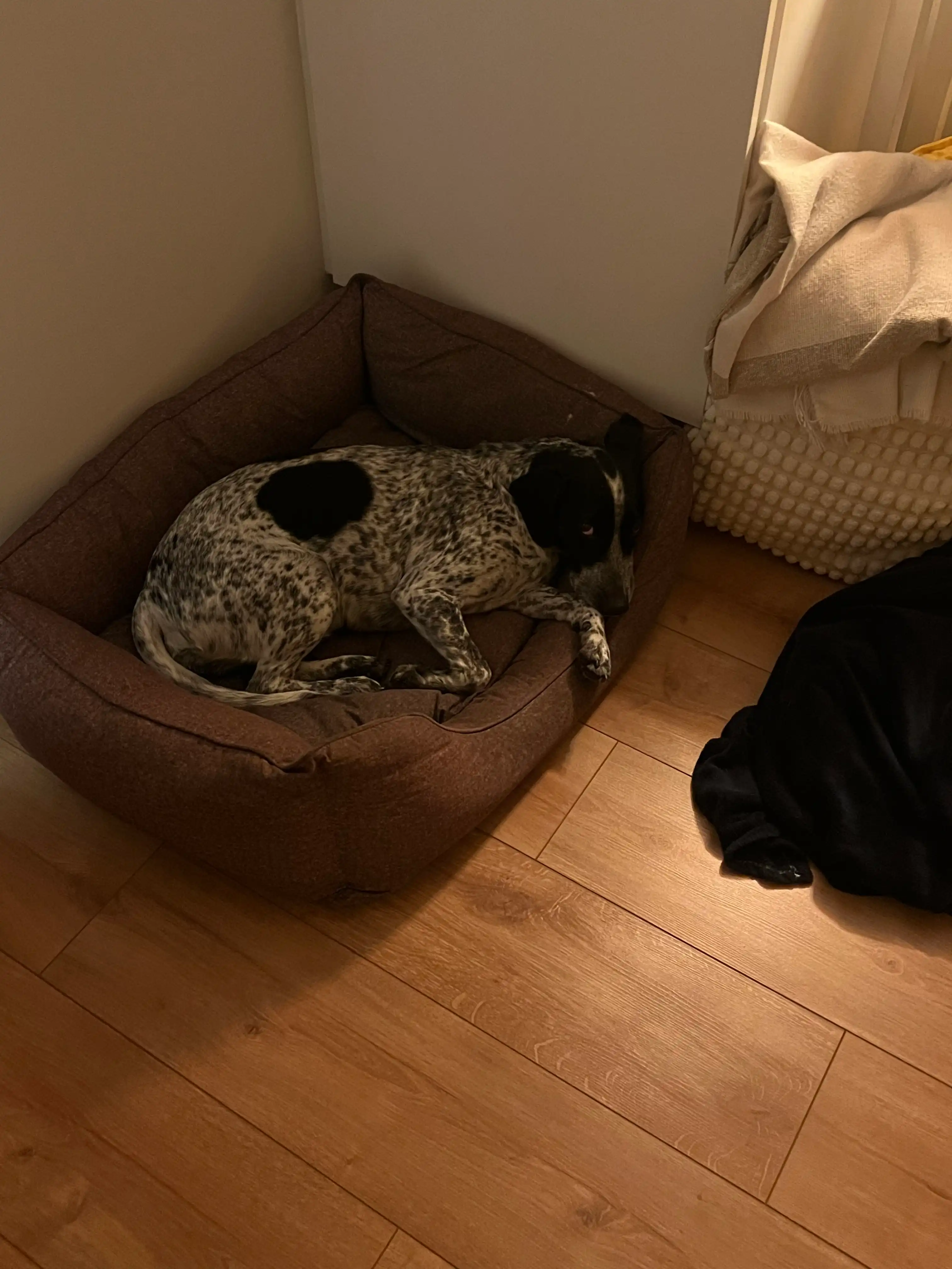 image-13